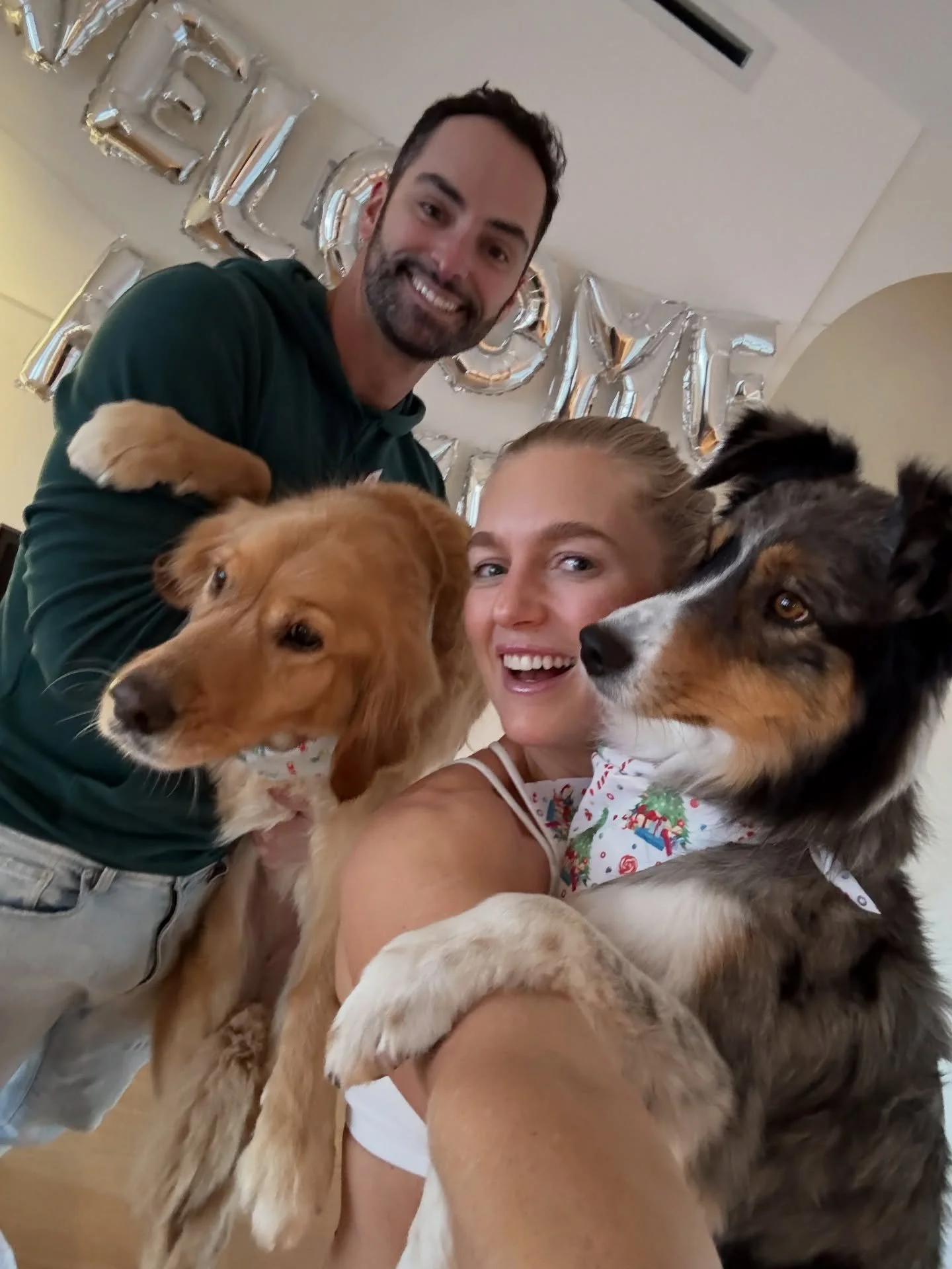 Moving week photo dumb 🏡&hearts;️

Disclaimer: I take a LOT of photos of my dogs lol