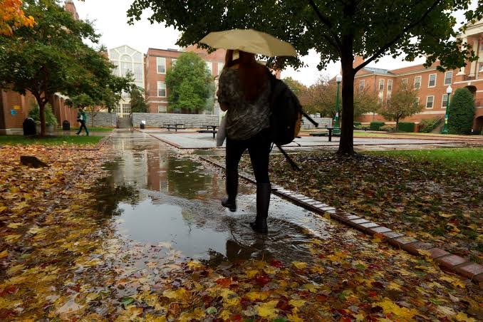 rainy day.jpg