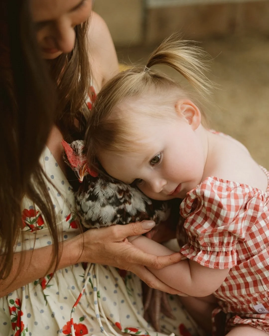 Heart and home &mdash; the Nicholsons Part one
Their garden, their animals, their way of loving&hellip; it&rsquo;s the soul of who they are. This session was them to a tee, every image filled with warmth you can almost touch.
So grateful to my beauti