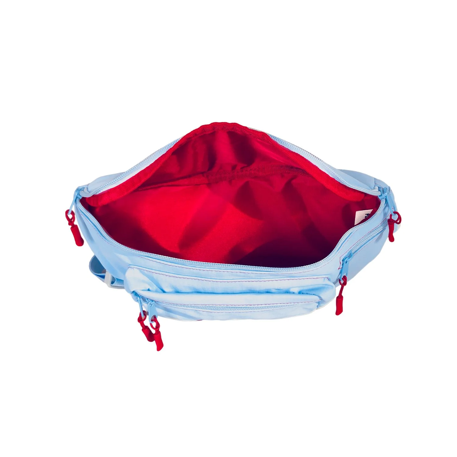 Bumbag Inside GS.jpg