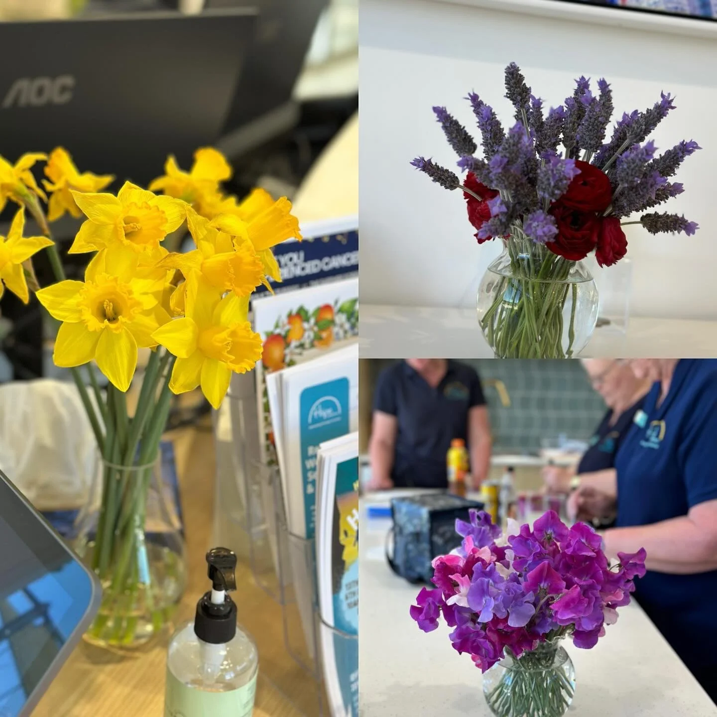 🌼🌸💜 Spring has arrived early at Hope Horizons&hellip;. well nearly!

Thanks to our wonderful volunteers (and Daffodil Day last week), the centre is bursting with beautiful blooms &mdash; from bright daffodils to sweet peas and lavender. Flowers re