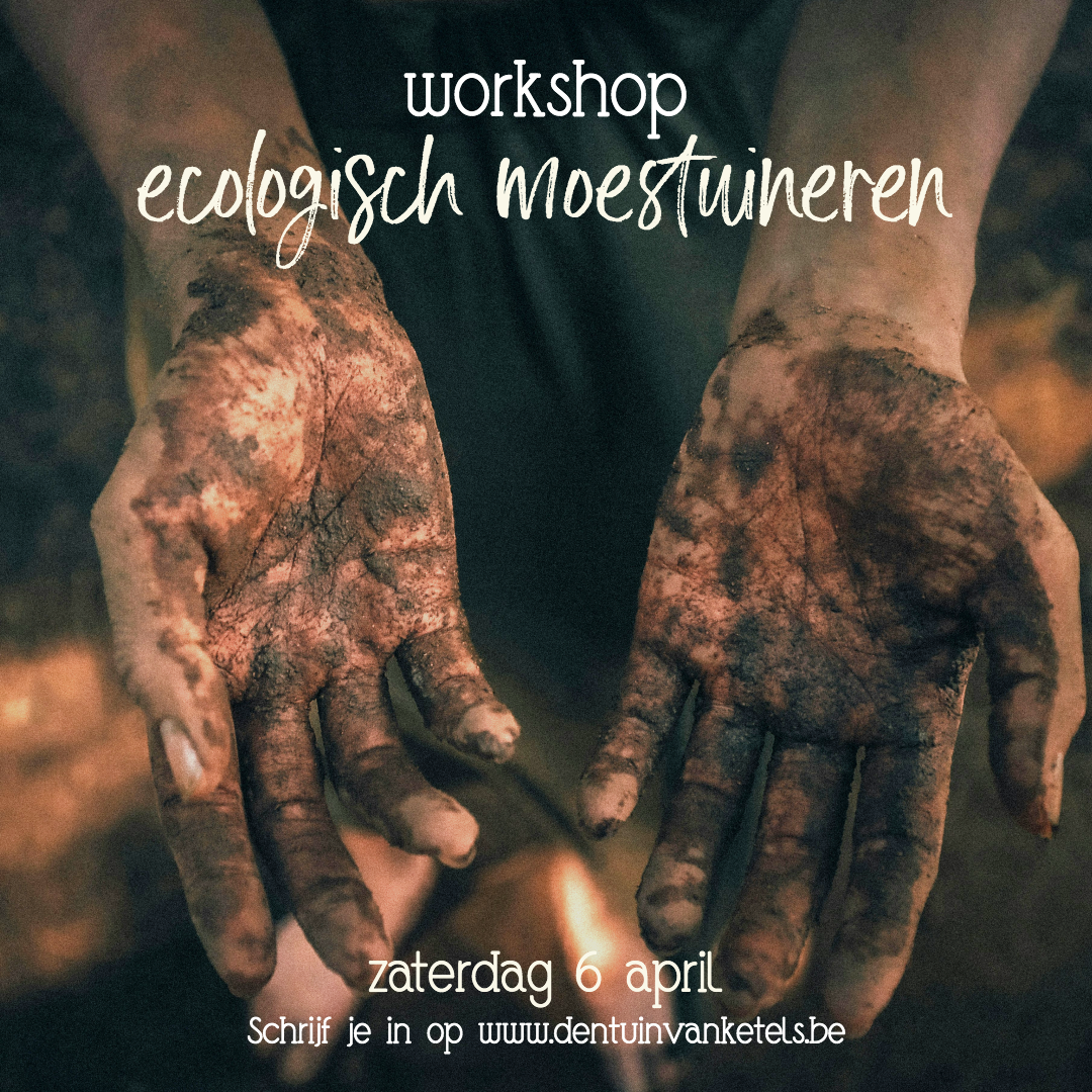 Workshop ecologisch moestuinieren