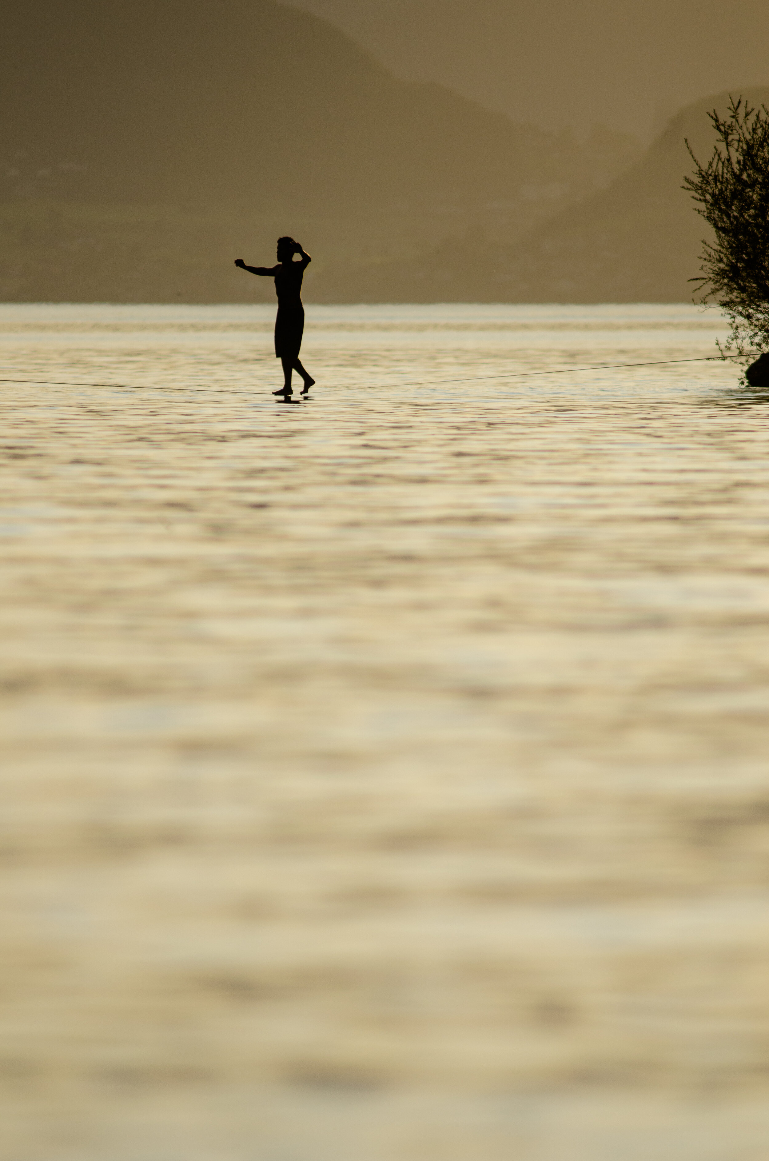 NY_SLN_THUNERSEE_UNTERWASSER_GEGENLICHT_D39444.jpg
