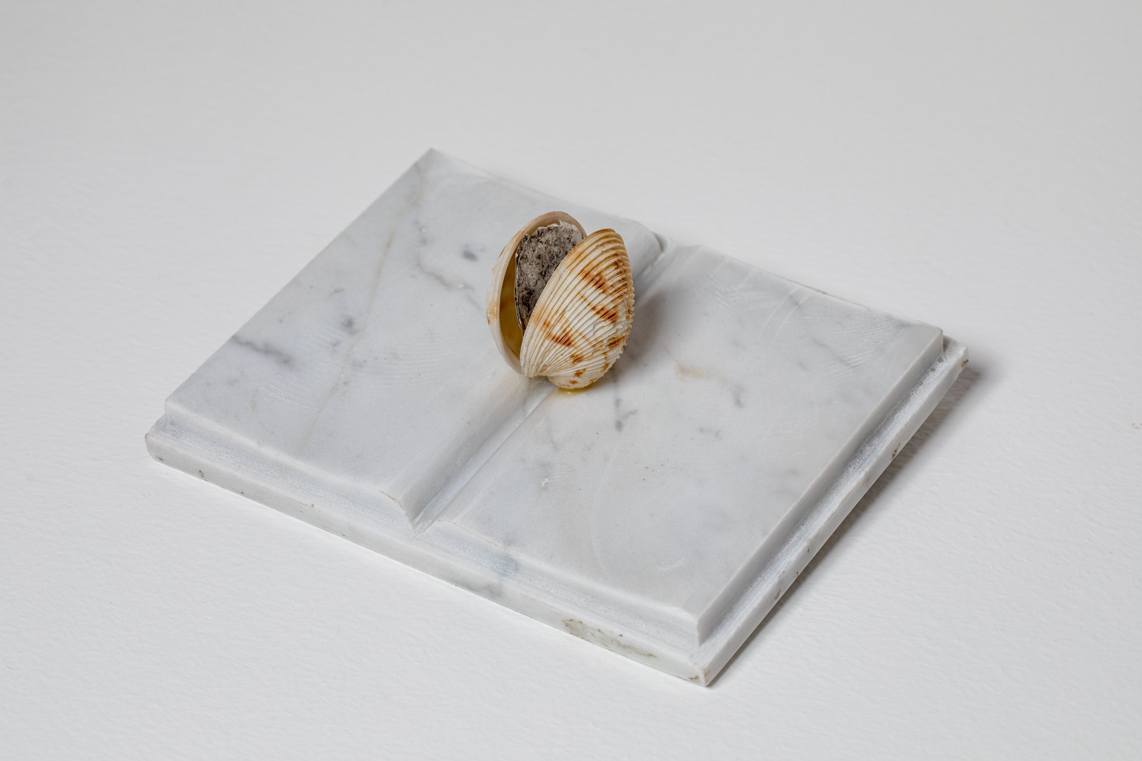 A book is a shell, 1993
Marble, shell, paper