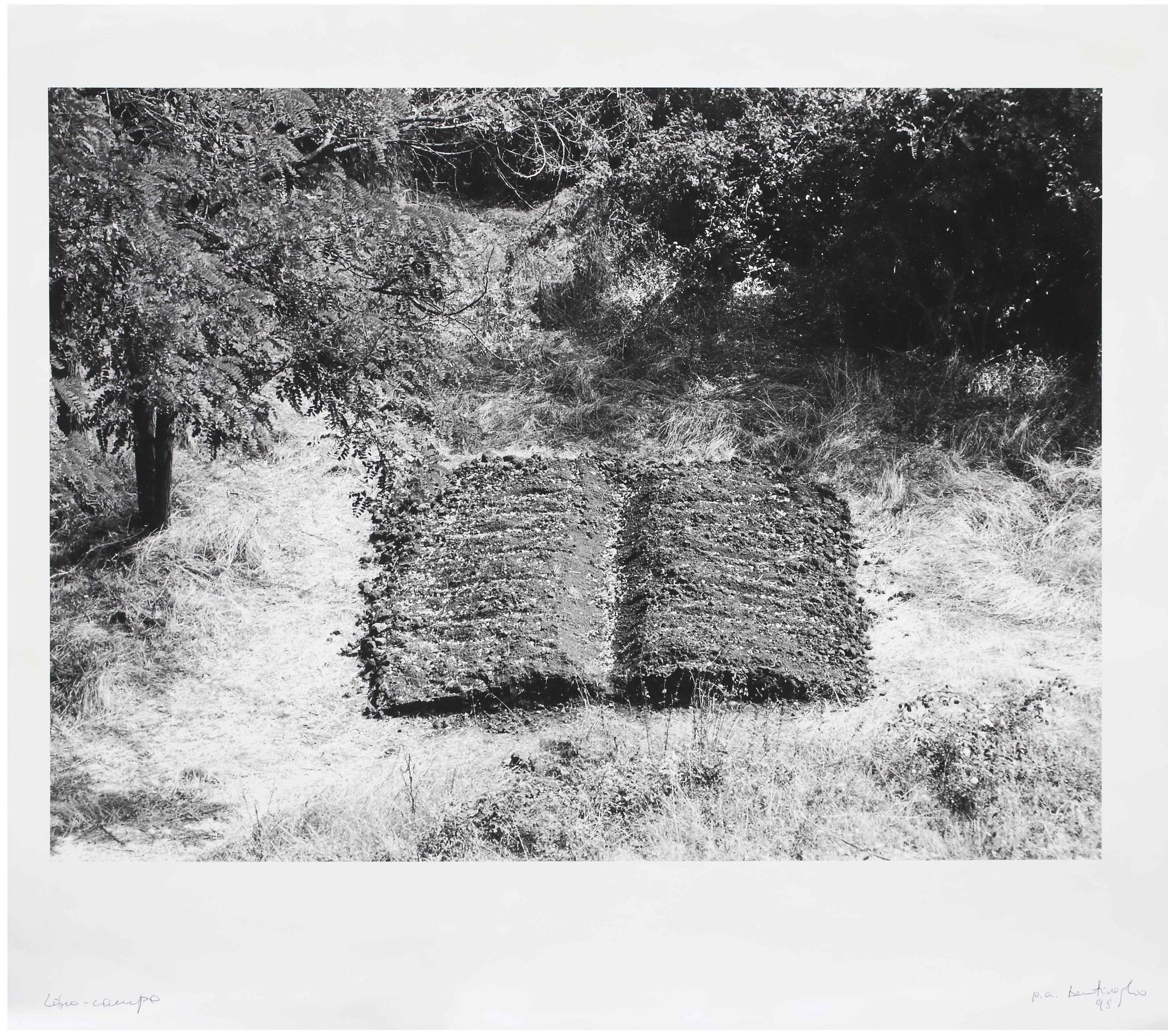 Field-book, 1998
Land art work, Bassano in Teverina, 600 x 800 cm