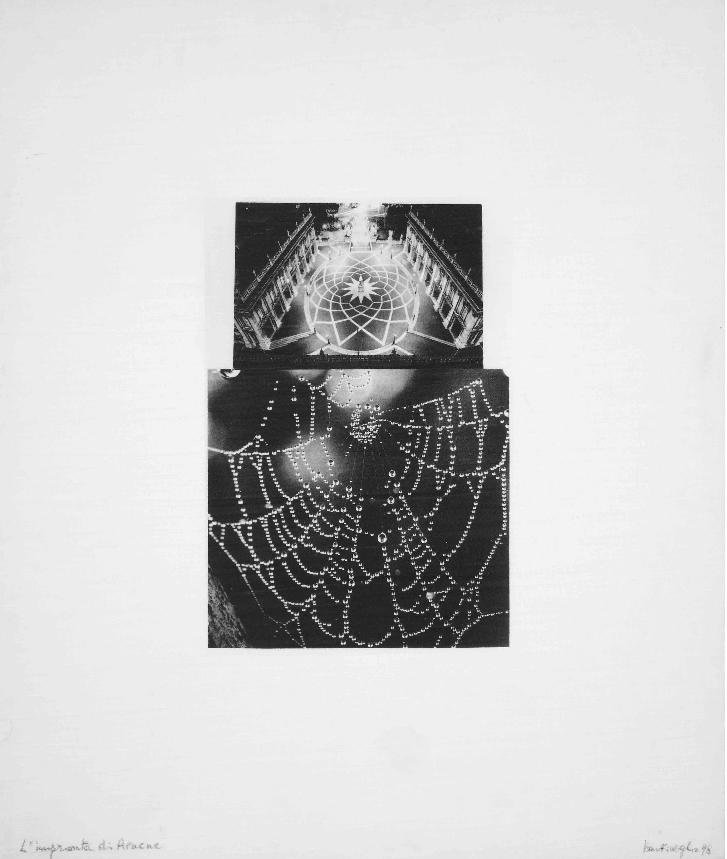 L'impronta di Aracne, 1978-1998
Fotocollage stampato su tela