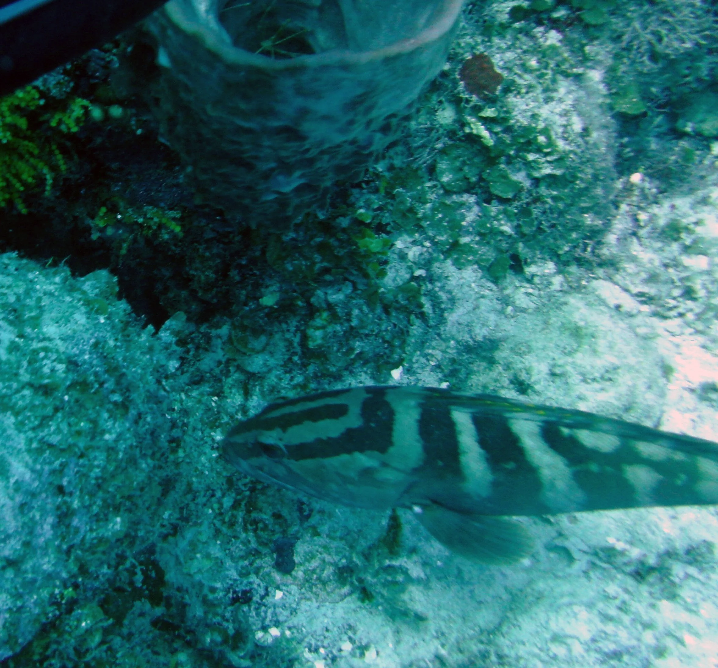 2013-12 23  (36).JPG