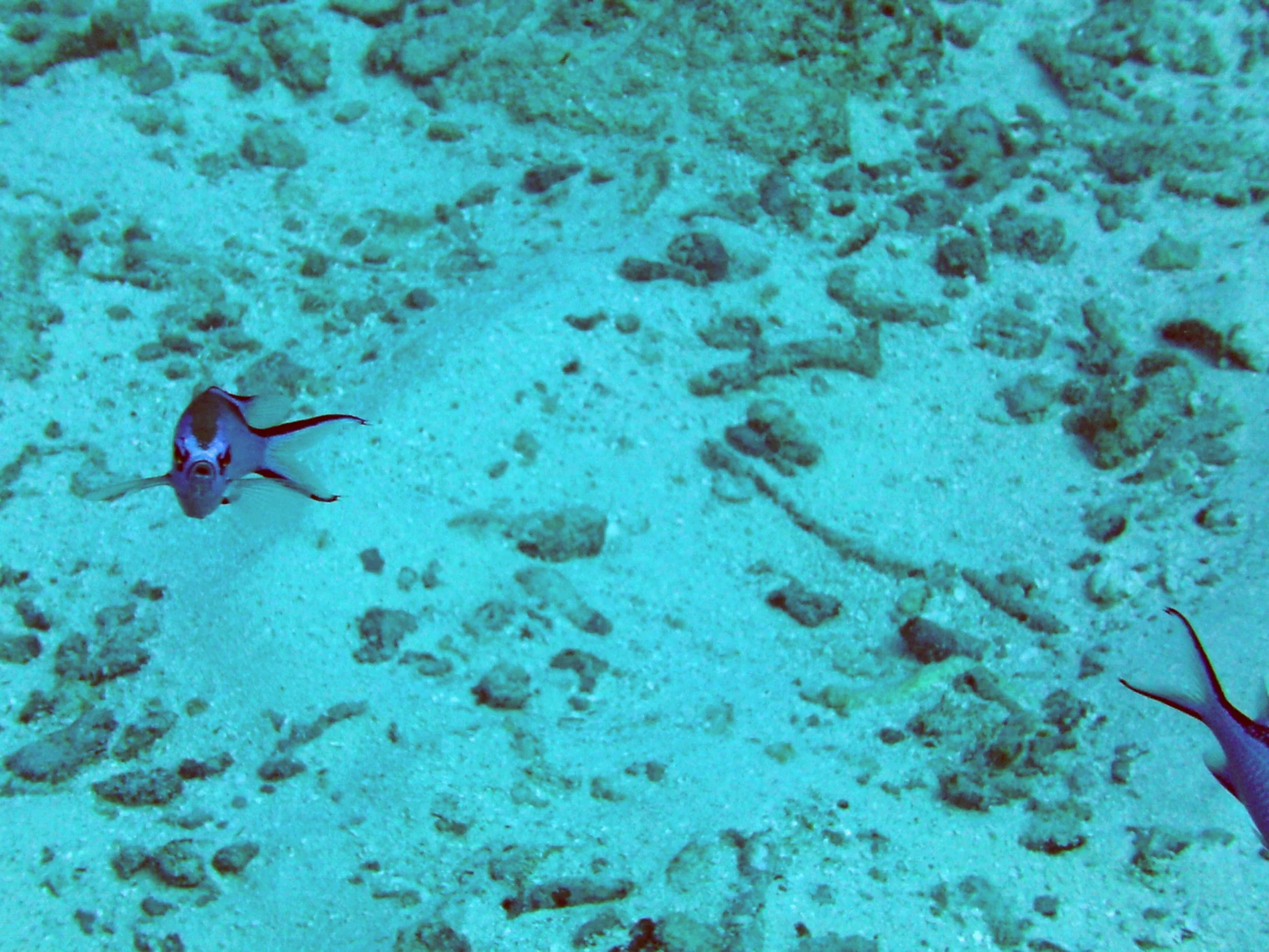 2013-12 23  (13).JPG