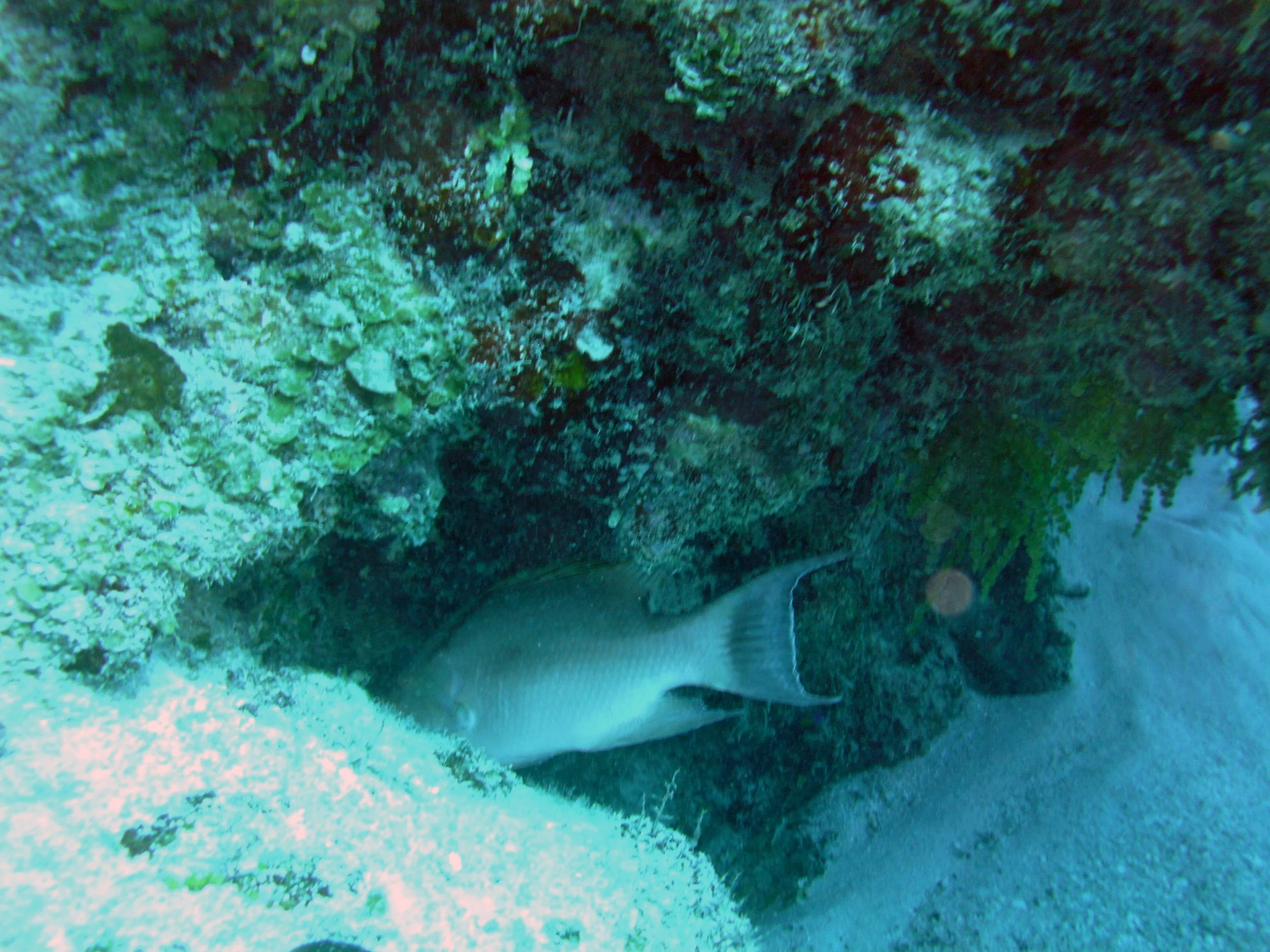 2013-12 23  (43).JPG