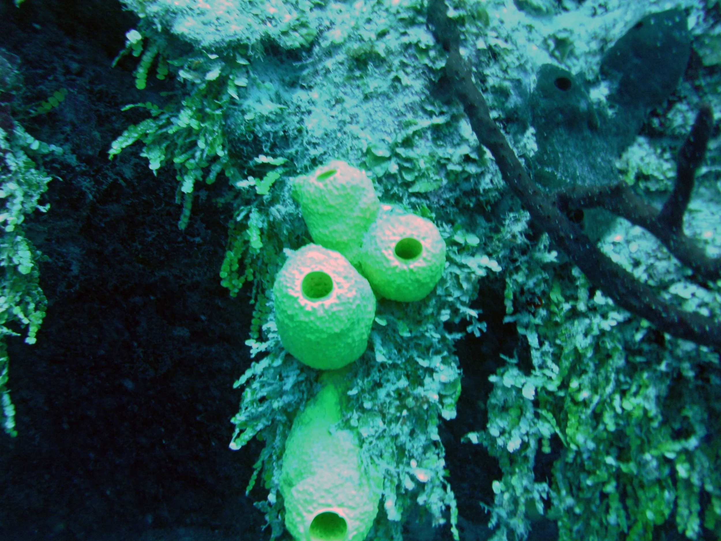 2013-12 23  (44).JPG