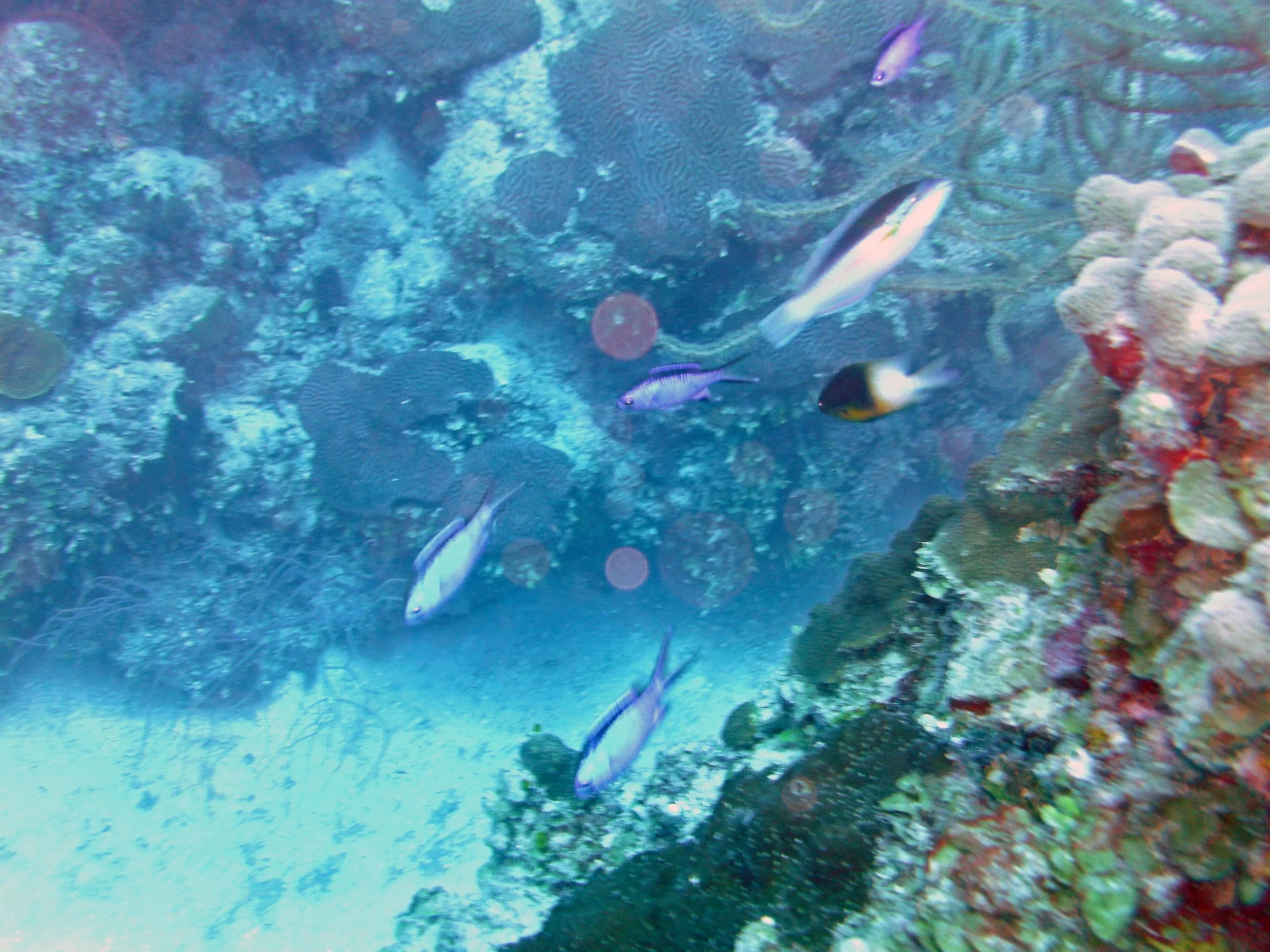 2013-12 23  (48).JPG