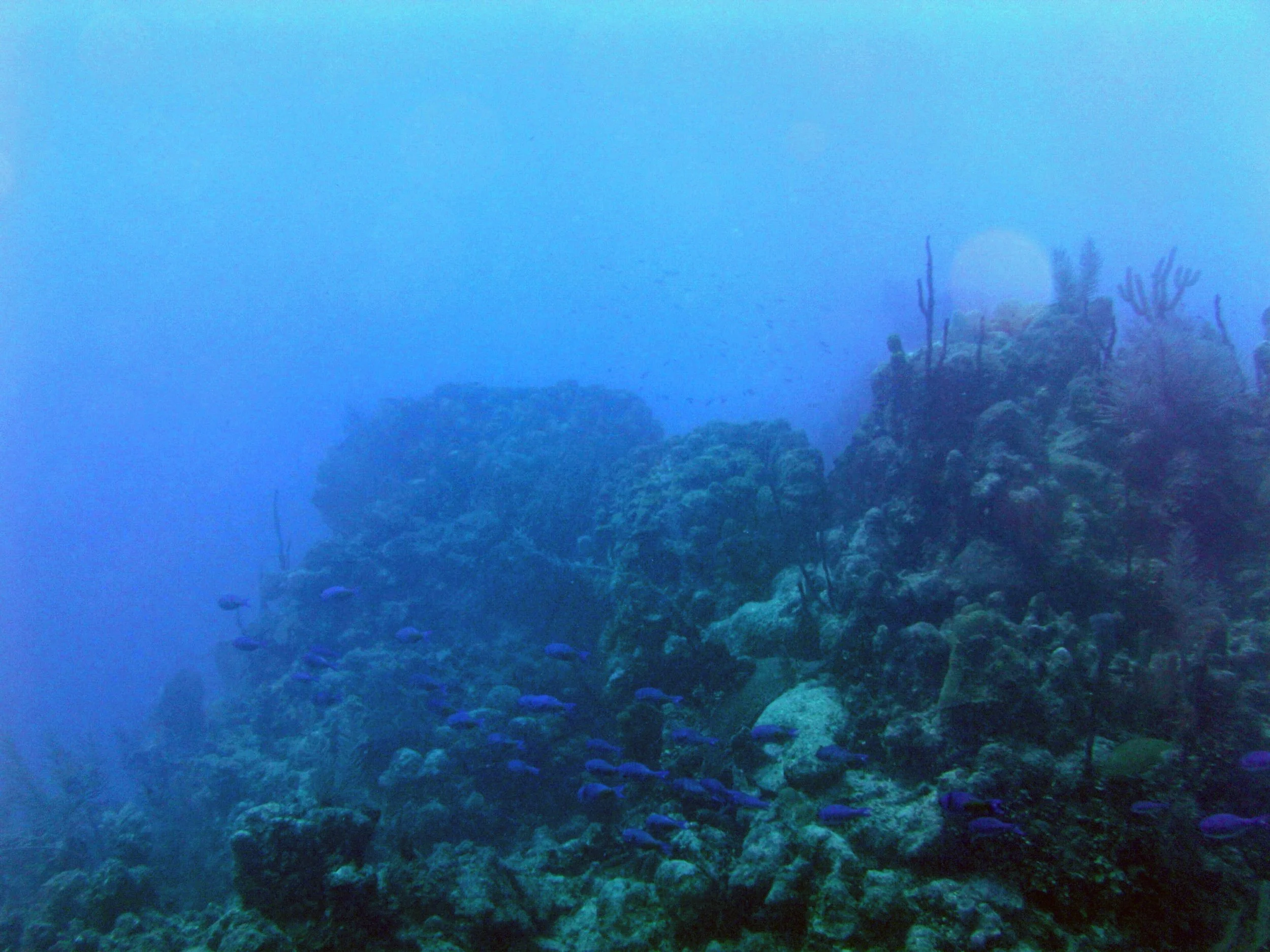 2013-12 23  (52).JPG