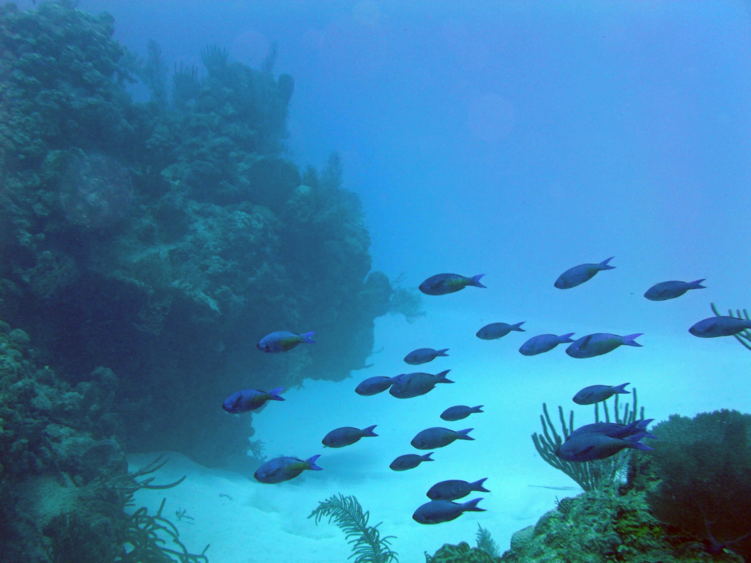 2013-12 23  (53).JPG