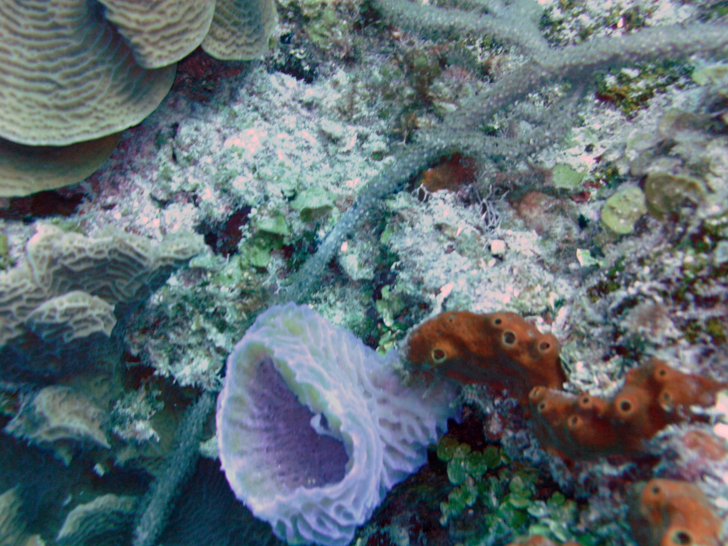 2013-12 23  (56).JPG