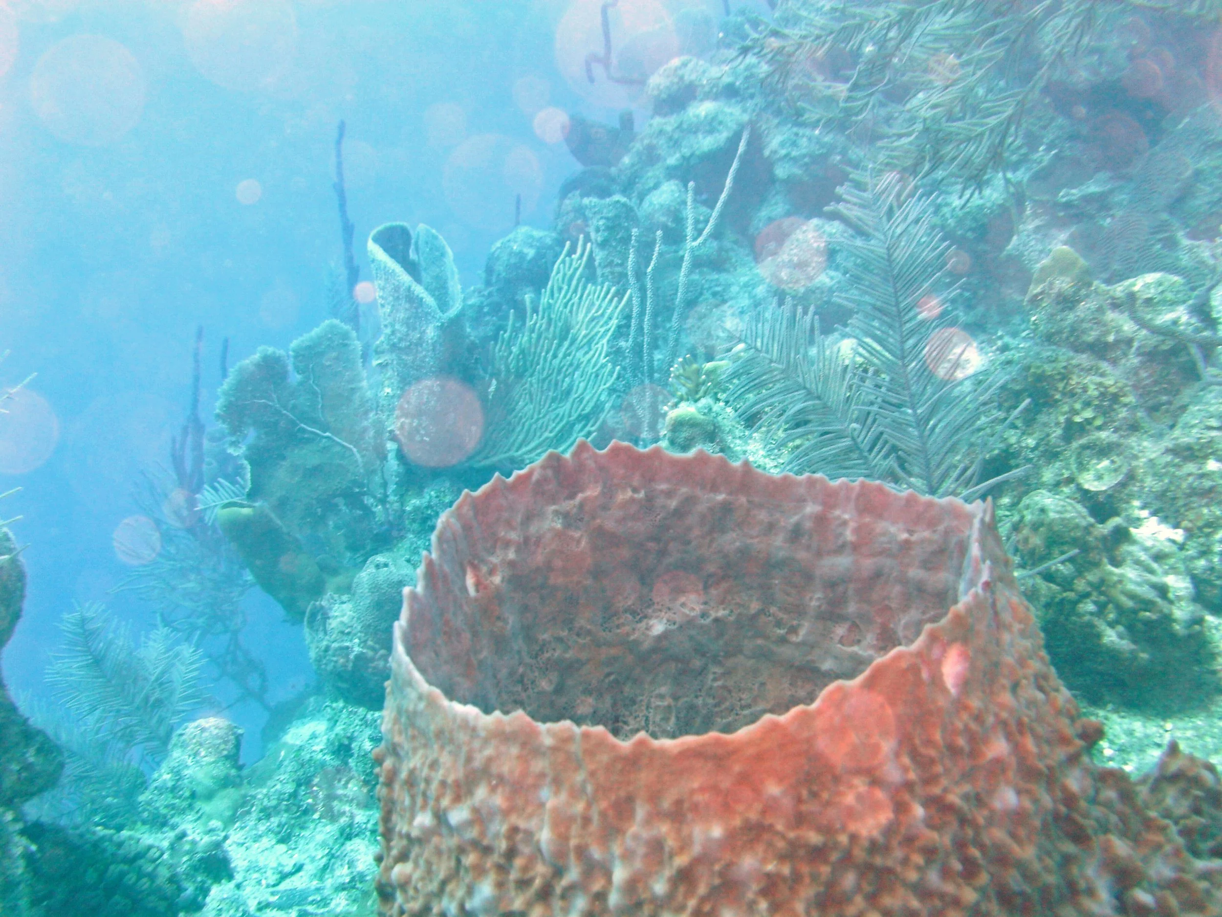 2013-12 23  (58).JPG