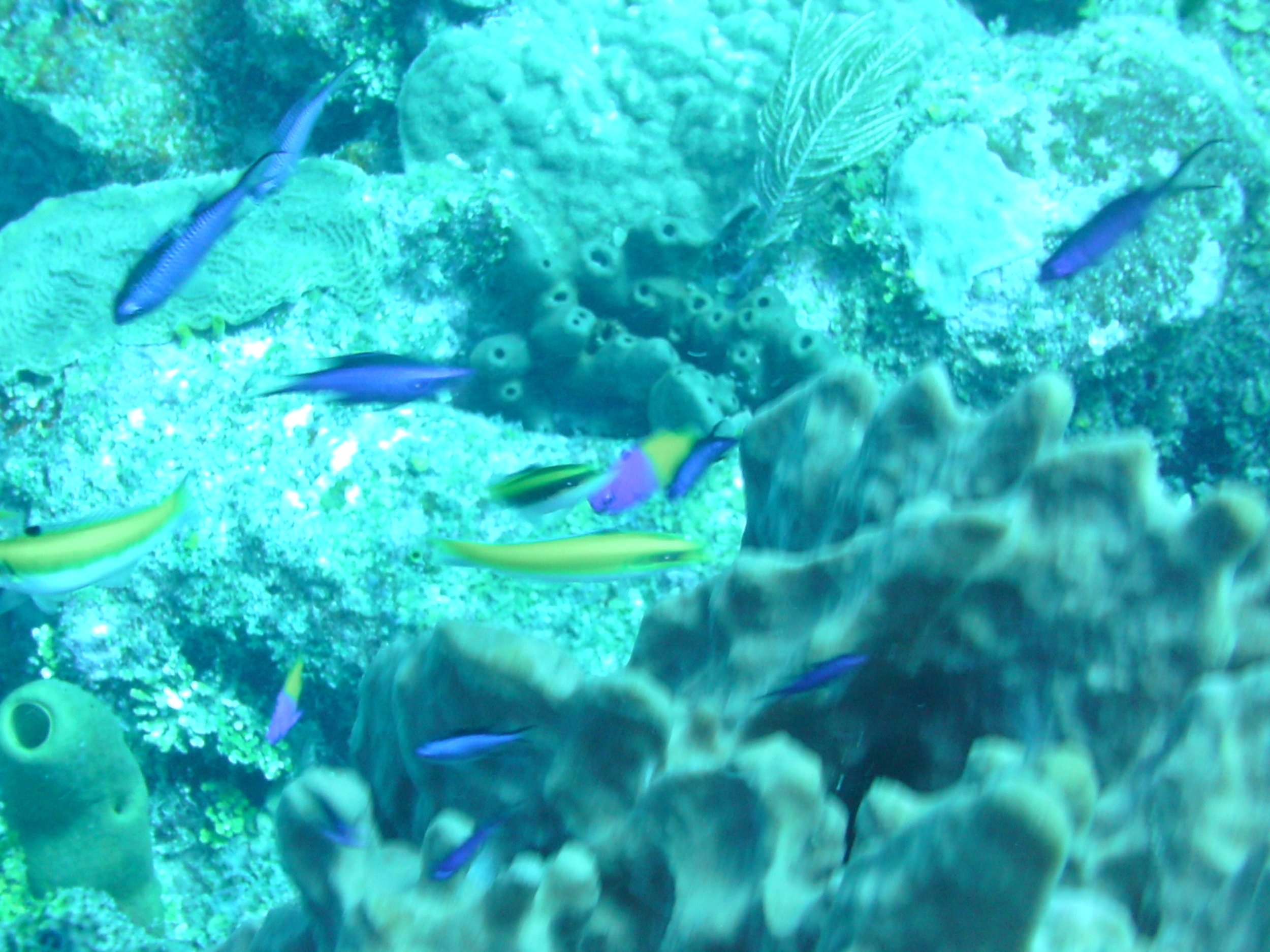 2013-12 23  (68).JPG