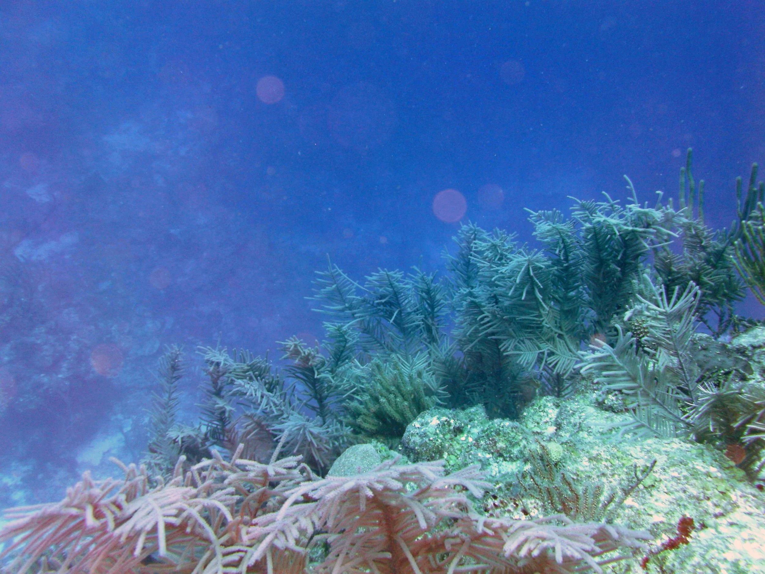 2013-12 23  (69).JPG