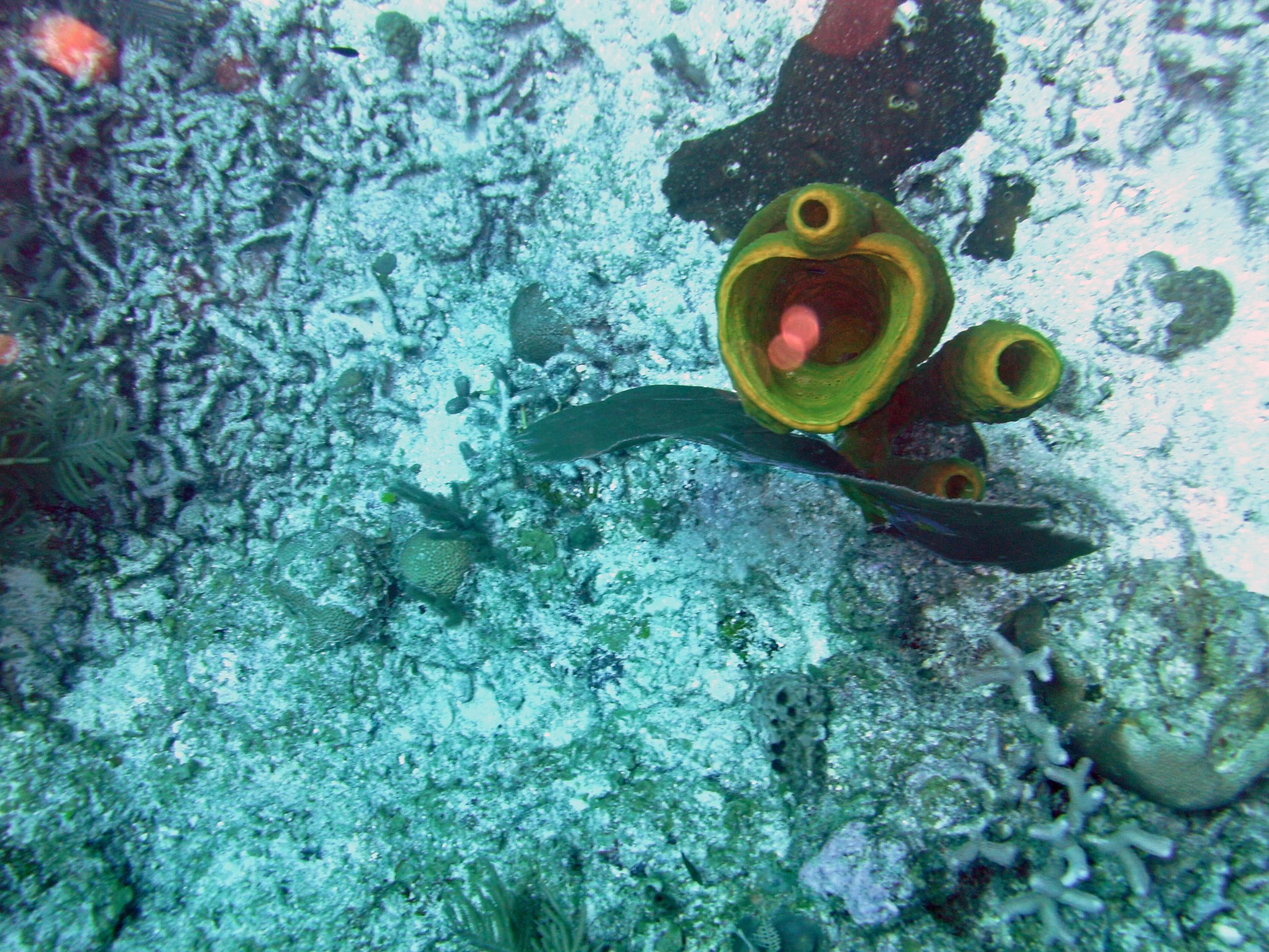 2013-12 23  (78).JPG