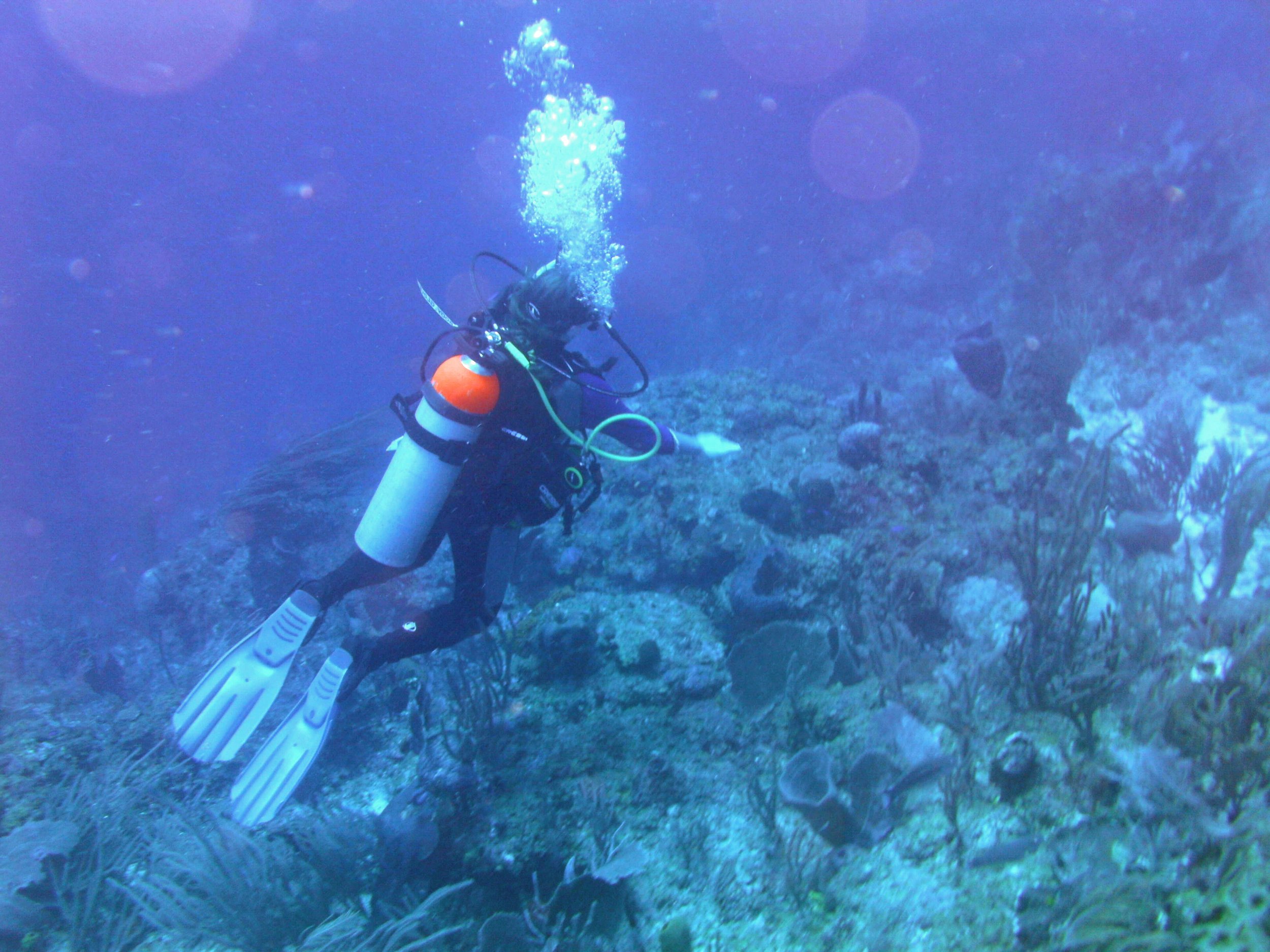 2013-12 23  Susan.JPG