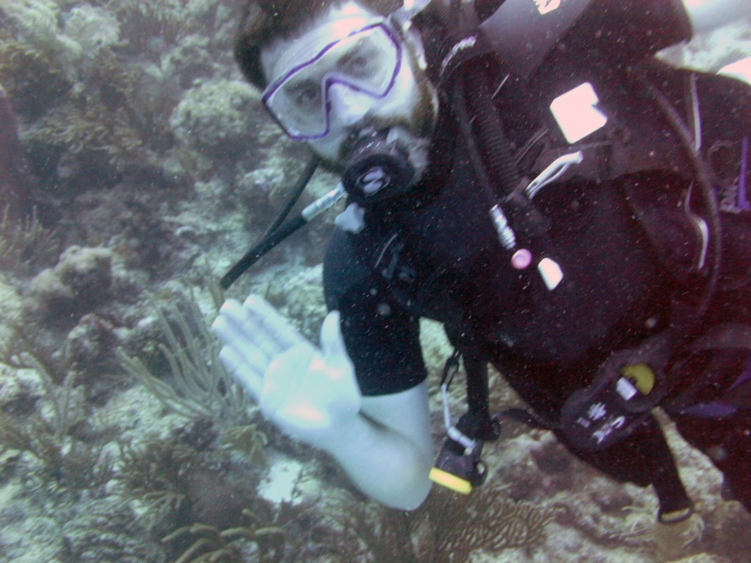 2013-12 25 Alex and the Nurseshark (4).JPG