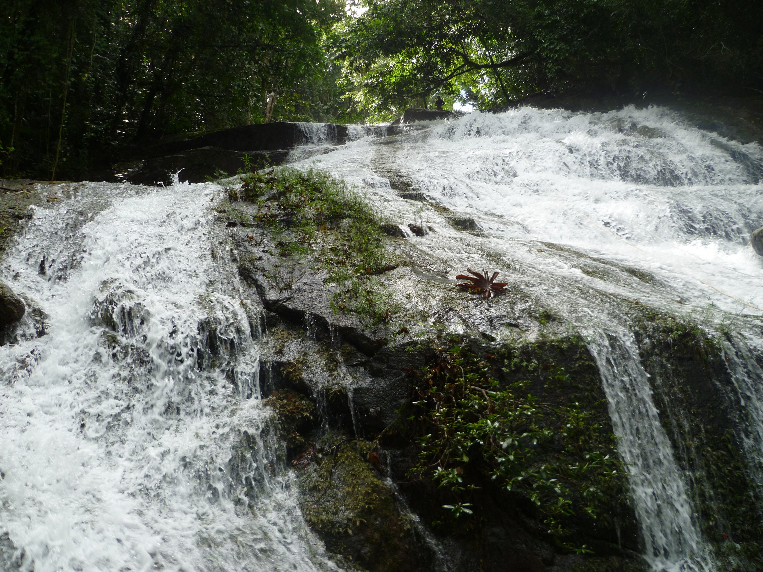 2013-12 26 Waterfall Rappelling (156).JPG