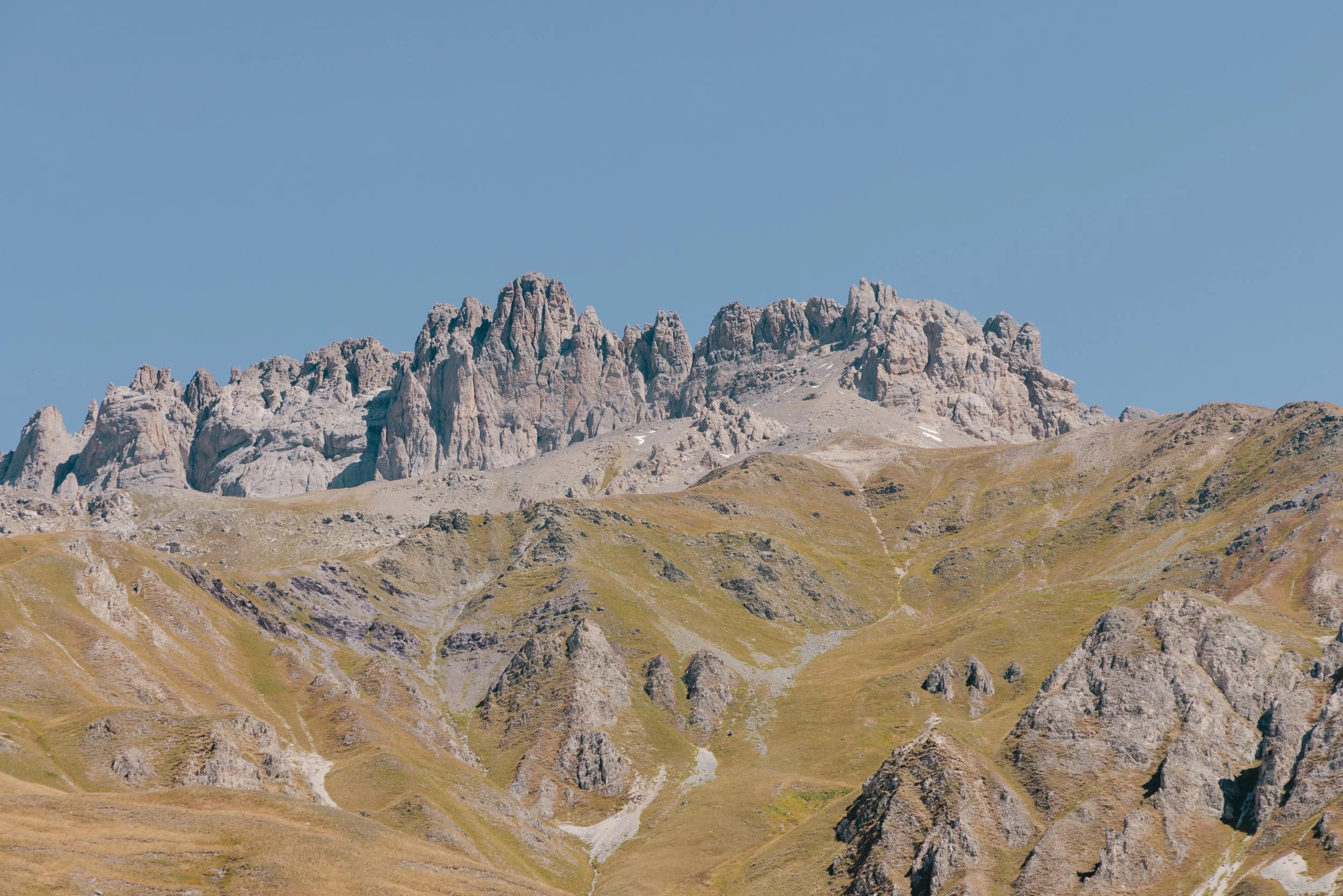 231A5095.jpg