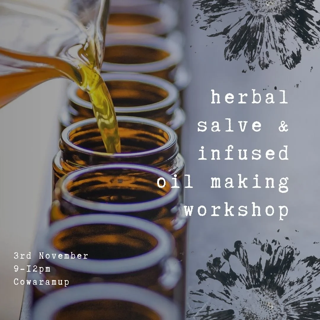 2 PLACES LEFT 🌿
WORKSHOP 🌼 Herbal Salve &amp; Infused Oil Making

Sunday November 3rd 9am-12pm at @growingplace_socialfarm in Cowaramup, in the new workshop space and garden. 🪴🌿

A Sunday morning exploring the simple, yet slow, seasonal and quali