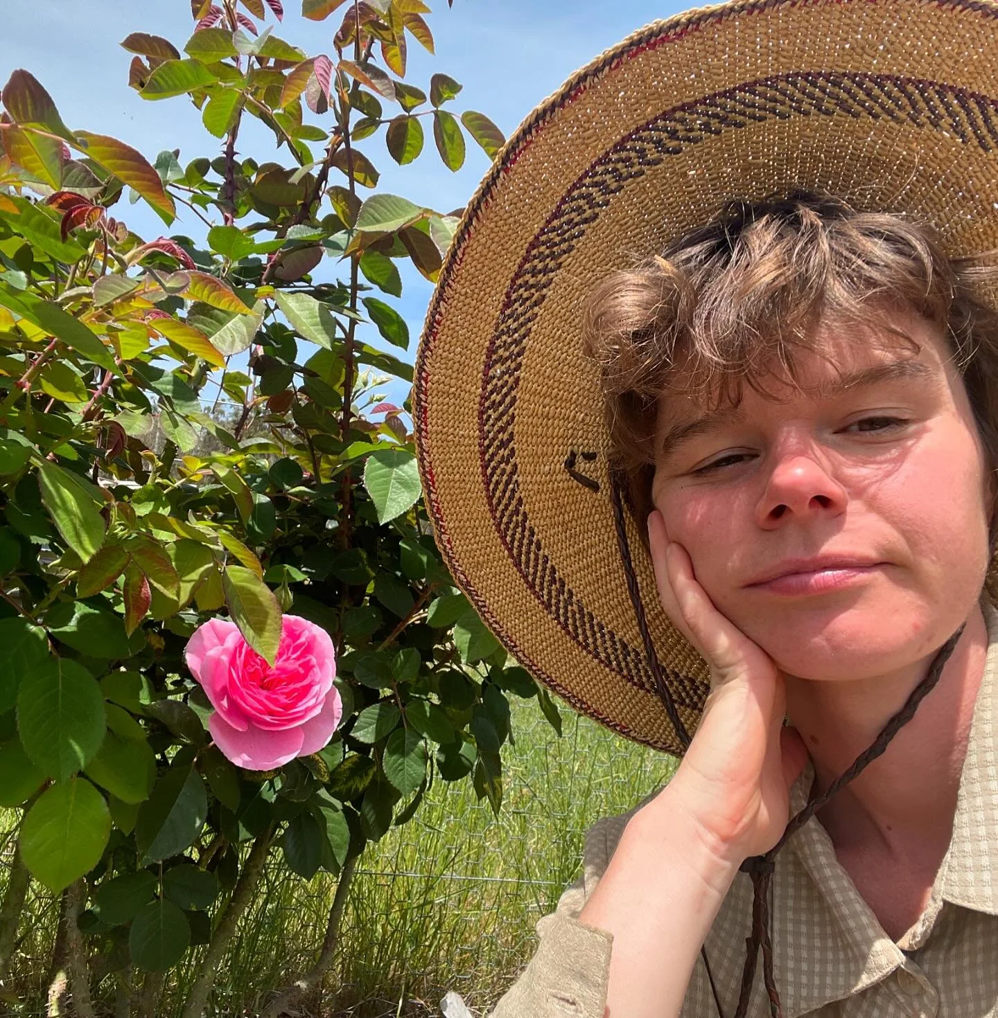 I like when people say hi and what they are up to on here, and I wanna do that too. 🌹🥀

Tamara here. Student herbalist living on Wardandi Boodja (SW of so-called Australia).

This little herbal project is 3.5 years old now, and as much has changed 