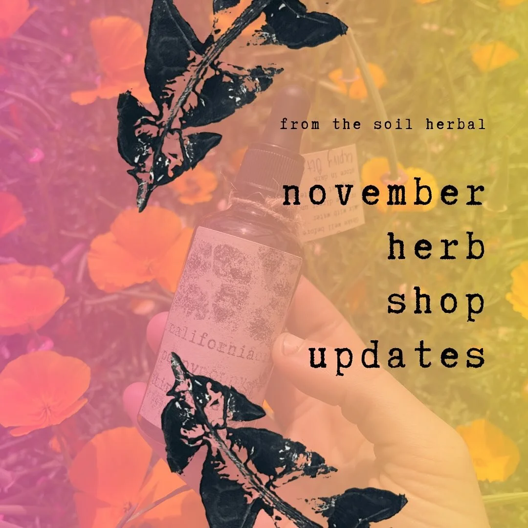 What&rsquo;s in the shop?

I&rsquo;ll tell ya. I&rsquo;ve decided I&rsquo;ll do a monthly share of what&rsquo;s in the shop as new products come along. 

🌿 California Poppy Sleep &amp; Pain Tincture 
California poppy is classified as a bitter nervin
