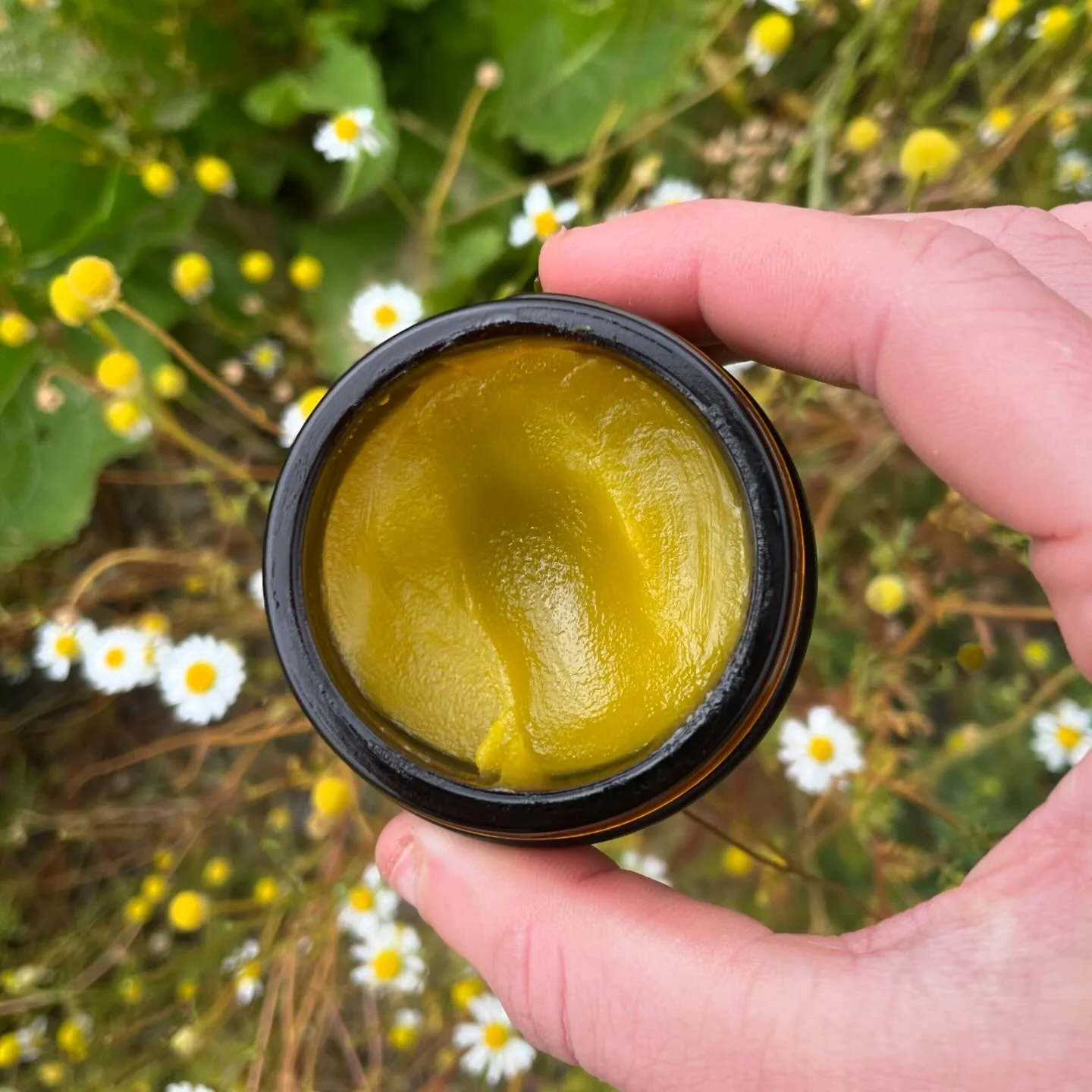 NEW PRODUCT 🐝 

Chamomile and Lavender all purpose salve

This is a cooling and lovely-smelling salve, I made for myself after repeatedly coming back from the garden covered in scrapes, itch, bites or irritations. ❤️&zwj;🩹

Only 5 available ❤️

A m