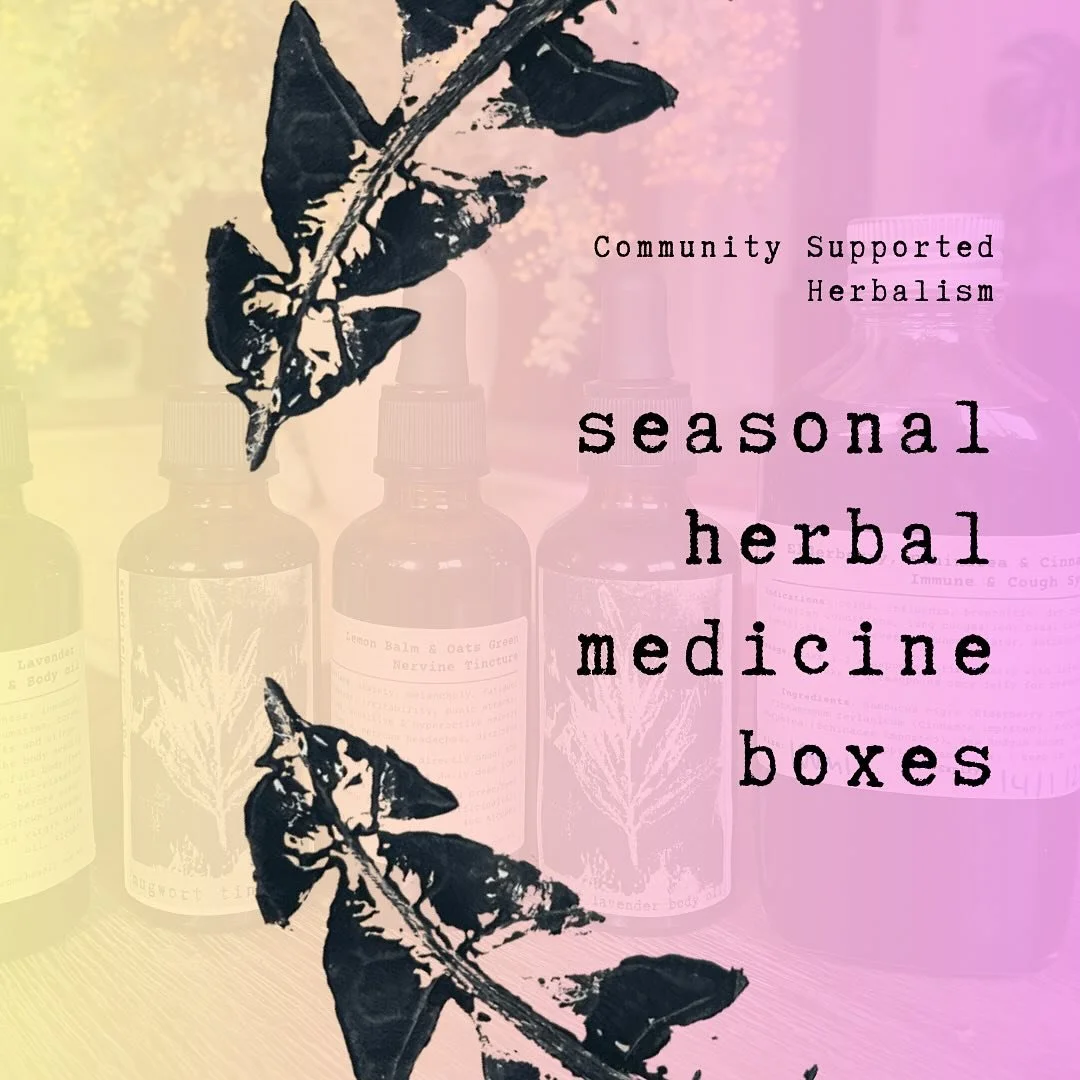 Want a box of cute, quality, home grown and made herbal preparations for the season ahead? 📦🌿

4 Community Supported Herbalism Boxes are left, friends! 🌹

There&rsquo;s 4 herbal medicines in this seasons box, and each preparation is macerating awa