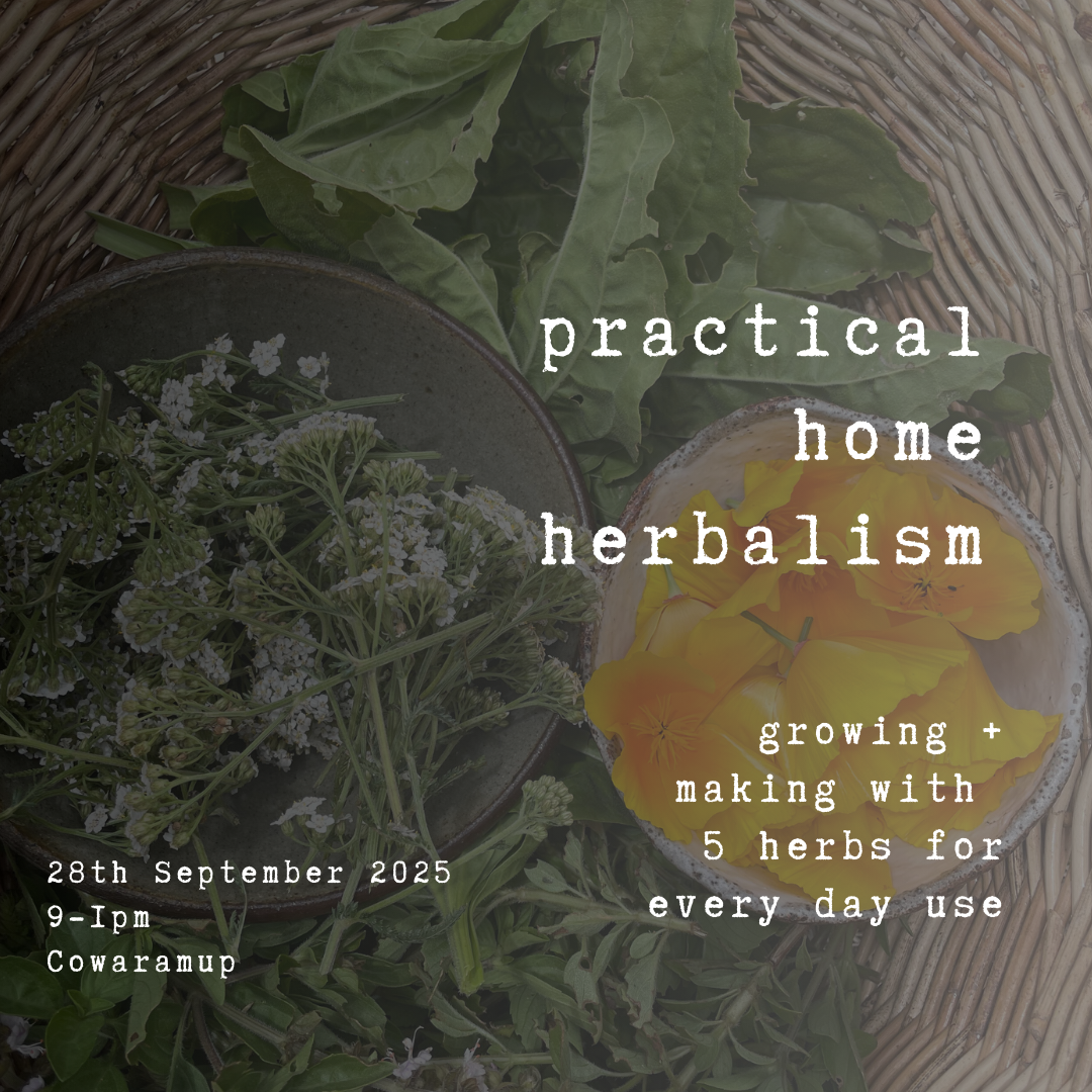 Practical Home Herbalism (Half-day workshop)