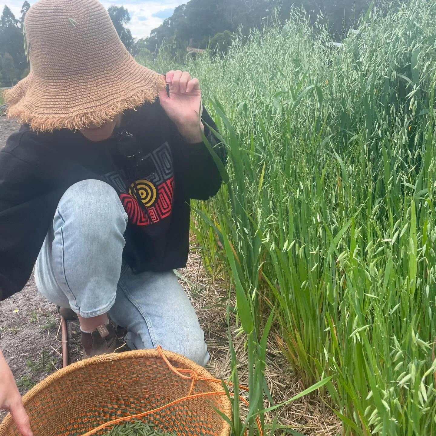 2 spots left on the Practical Home Herbalism Workshop. 

🍵🌿🌼🌹

Next weekend 2/11/25 9-1pm

Sliding scale prices and ticketing at the 🔗🌳