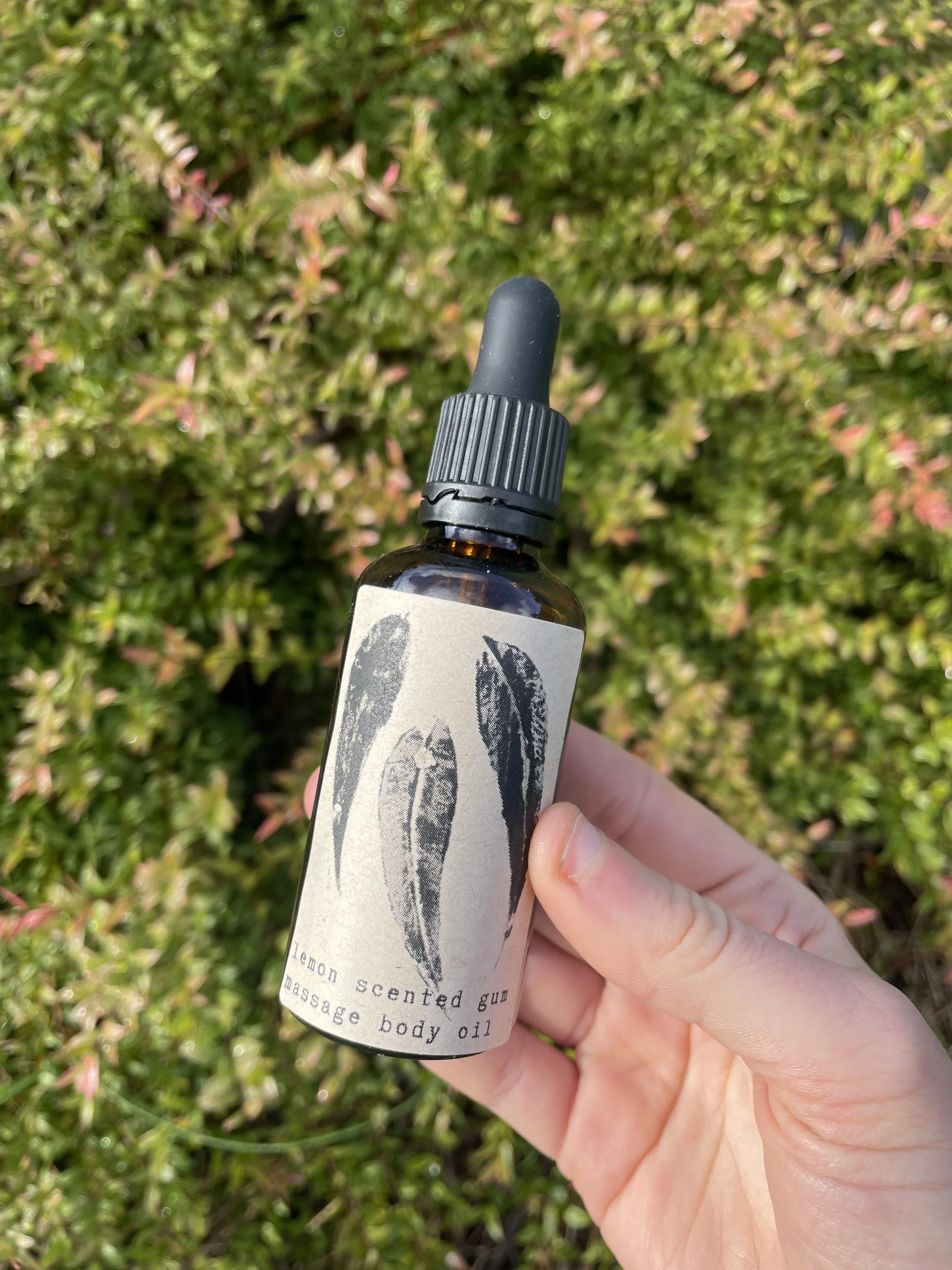 Lemon Scented Gum Massage oil (50ml)