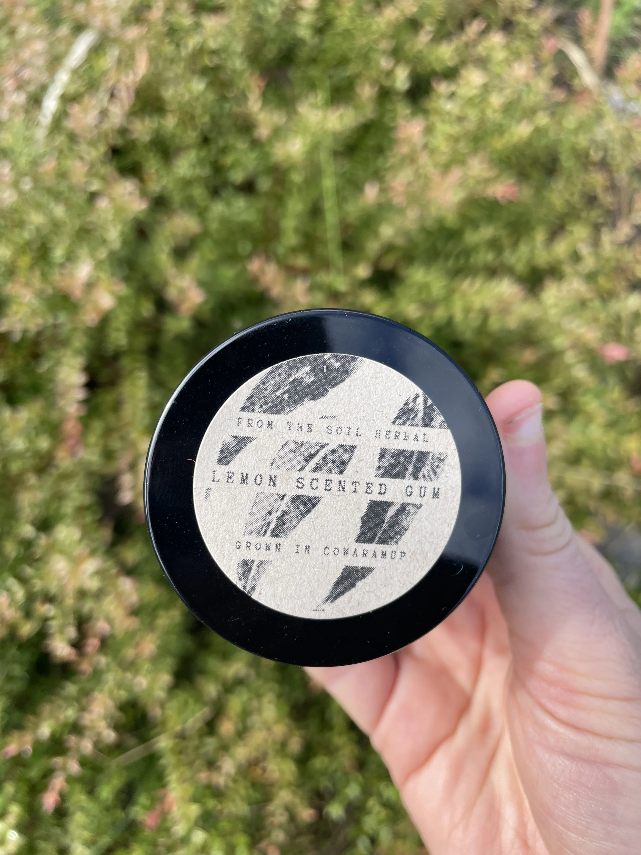 Lemon Scented Gum Salve (50ml)