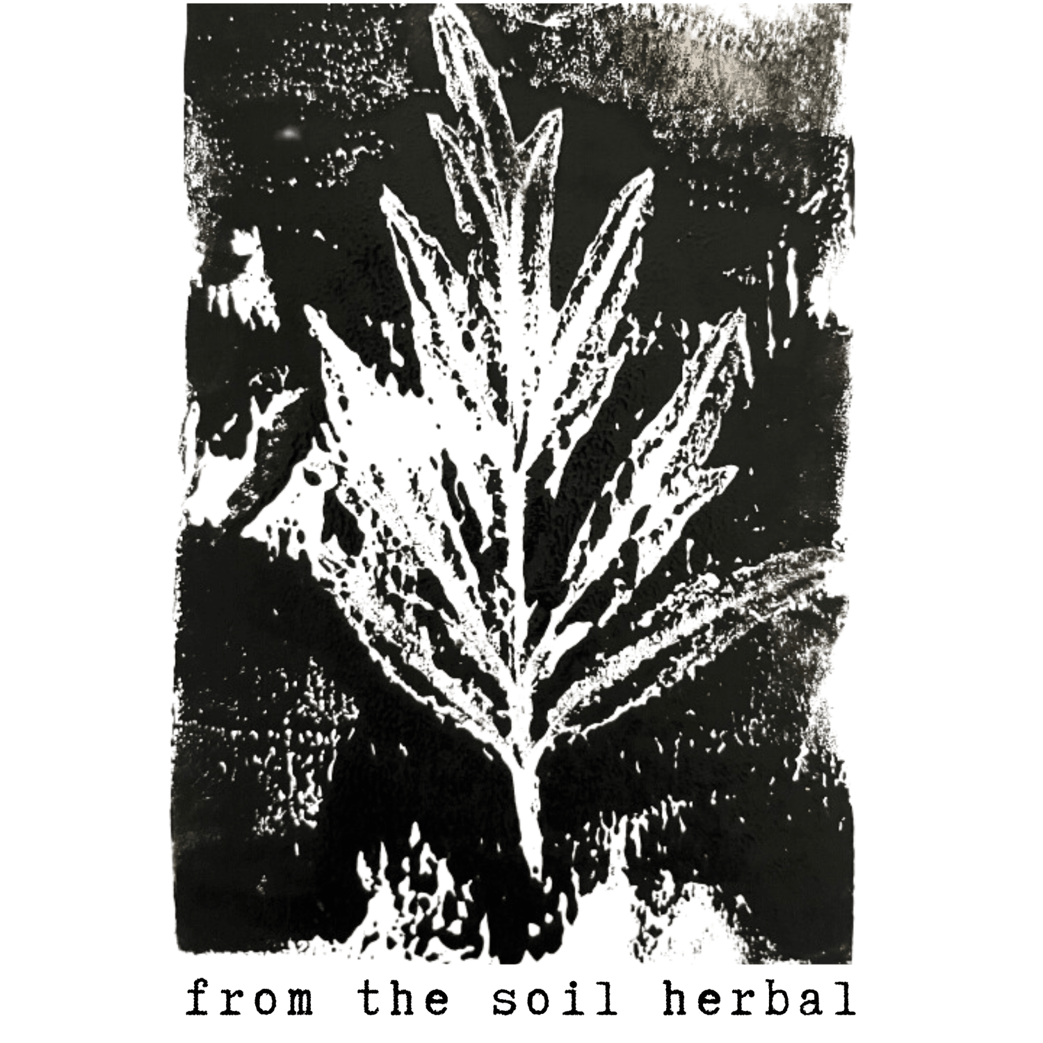 From The Soil Herbal