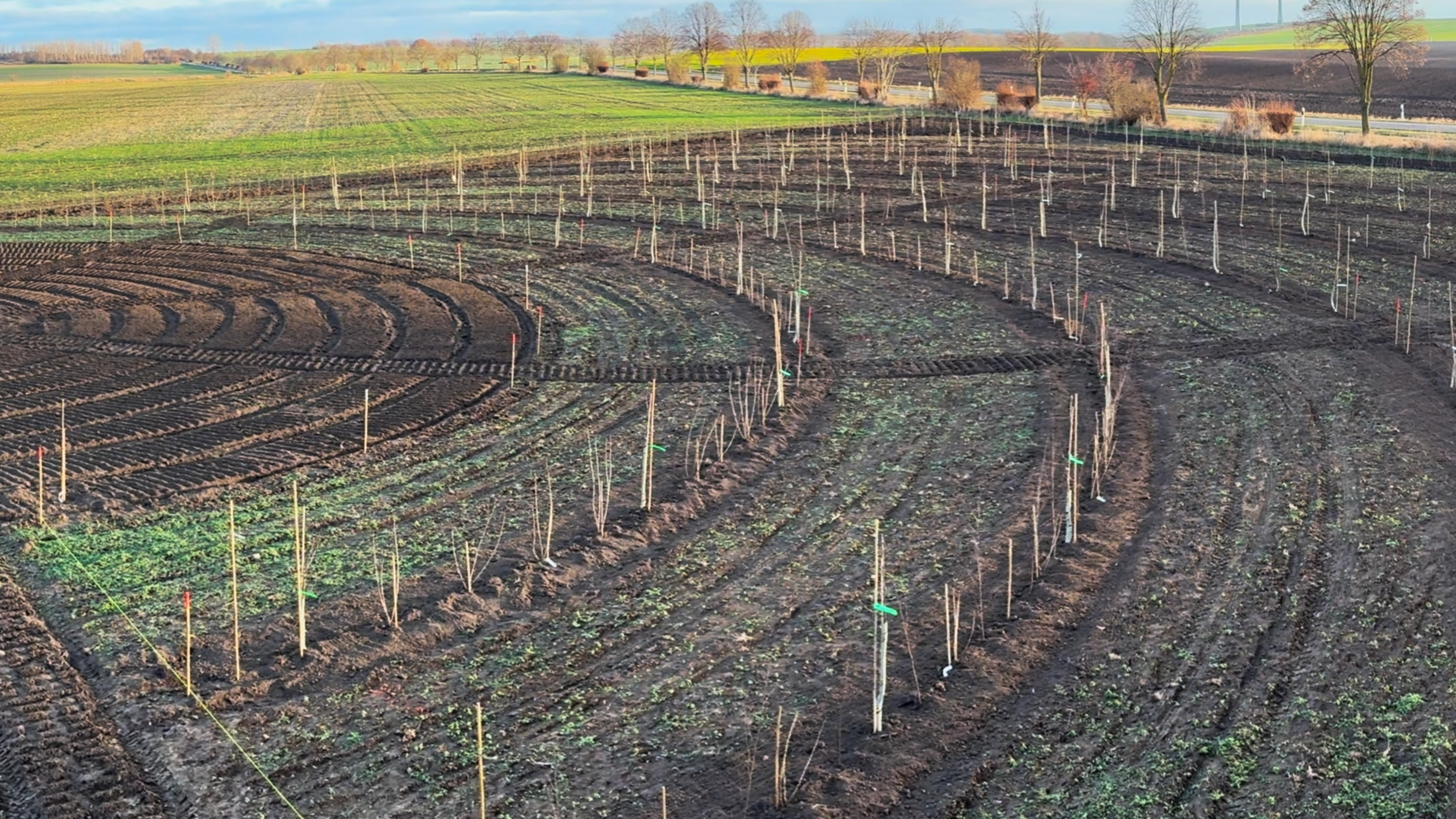 Melkveebedrijf Helming Milchhof (D)