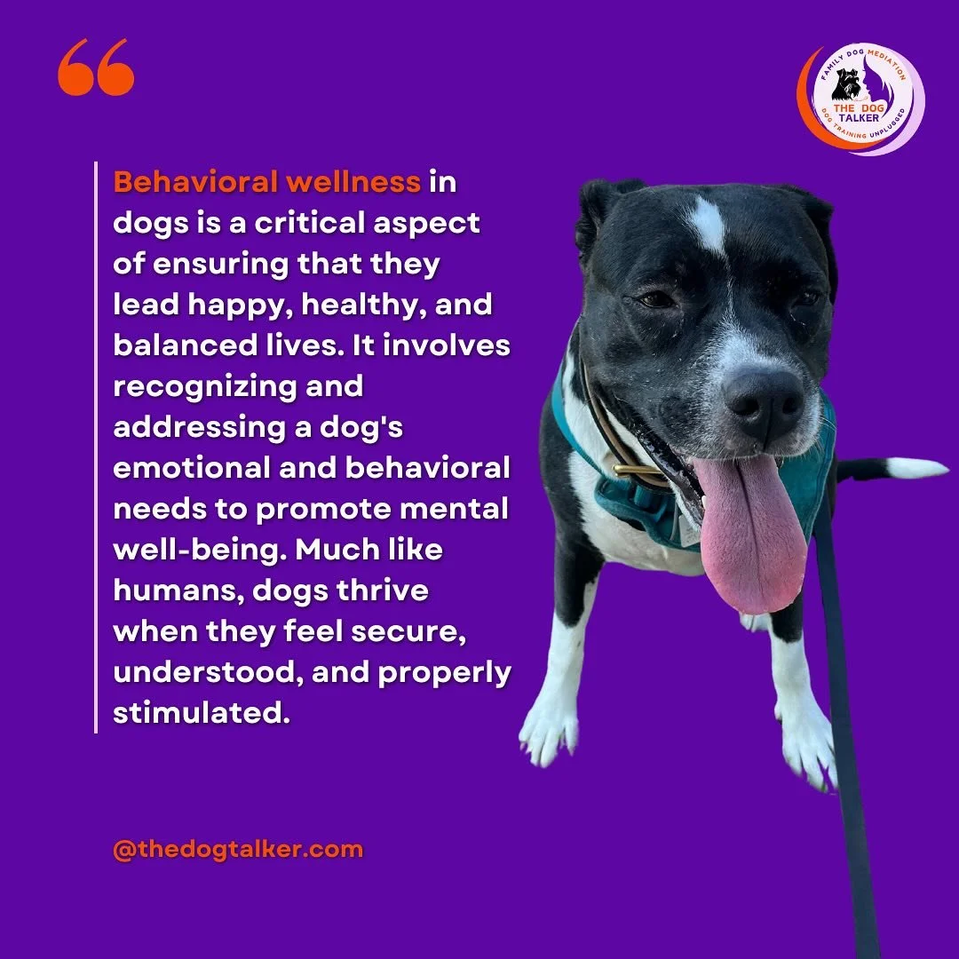 #thedogtalker #weputwelfarefirstalways #dogtrainingunplugged #fdm #familydogmediation #caninewellnesswalks #dogwelfare