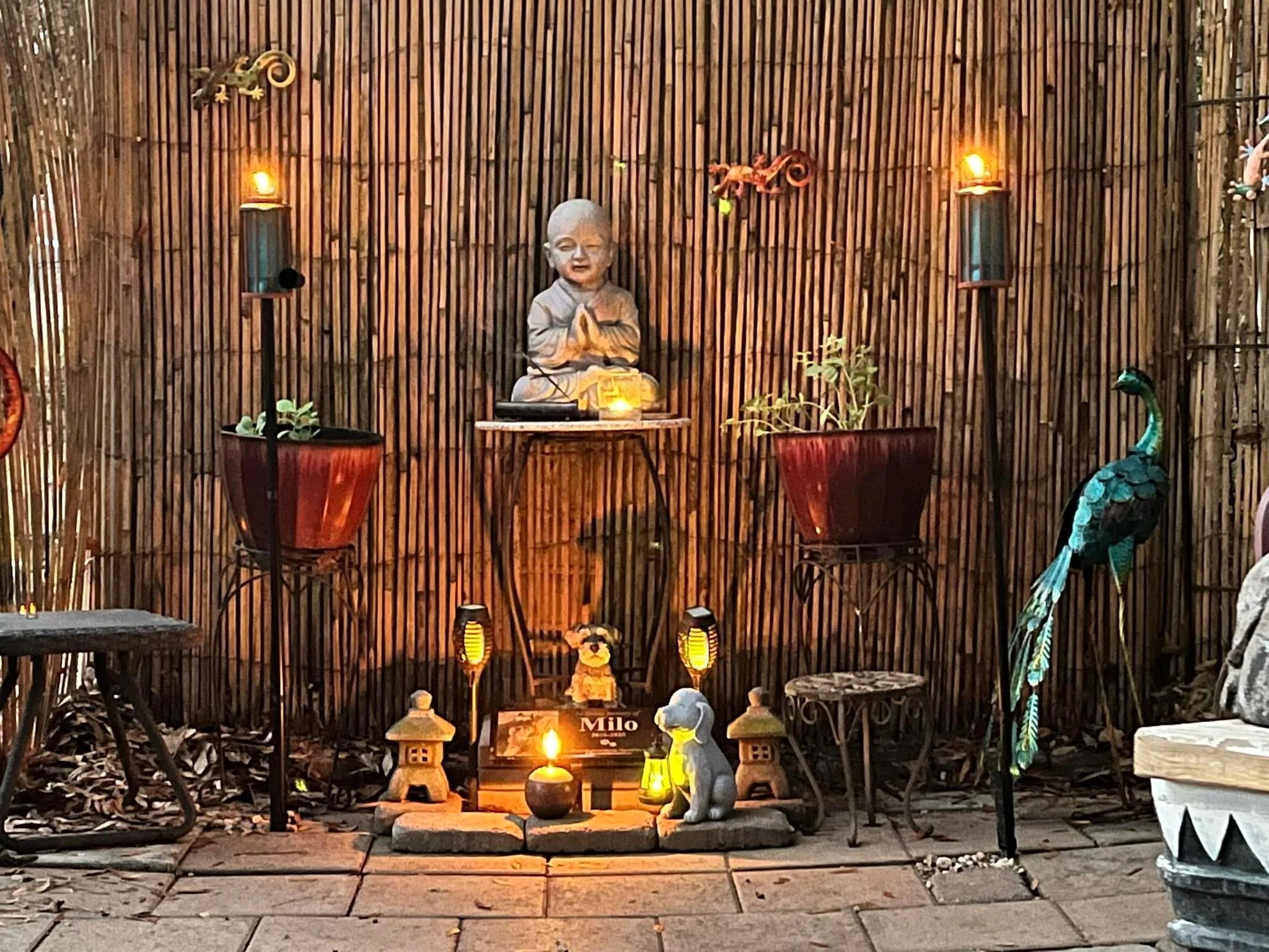 I swear&hellip;.. I feel your presence SO clearly, Milo, when I sit here in &lsquo;my church&rsquo;( under the stars of the universe)&hellip;.. This place right here is forever where my soul can reach yours&hellip;. THAT shadow under the Buddha&helli