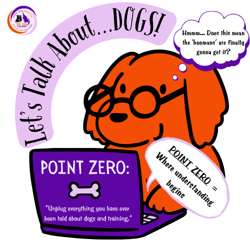 Session 1: What is ‘POINT ZERO’ and why is it important?