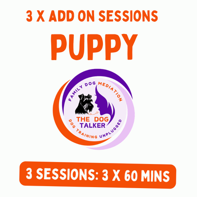 3 x Puppy Add-on sessions in your home | 60 mins each