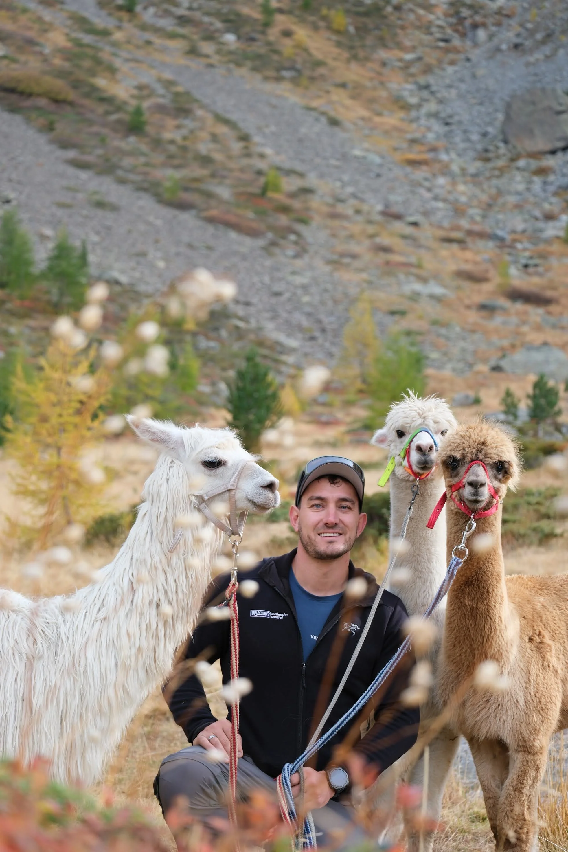 Alpakazüchter Gebi von LamaTirol mit 3 Alpakas an der Leine