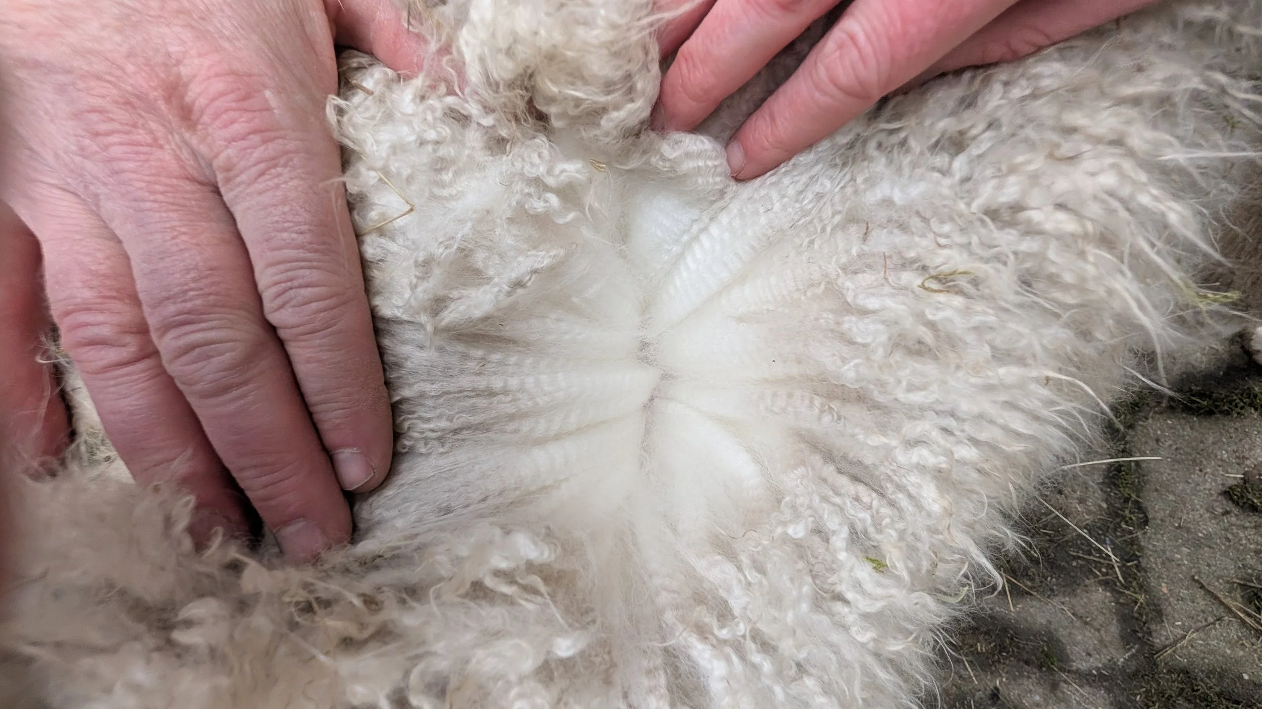 Unsere Ausbildung zum linearen Beschreiber