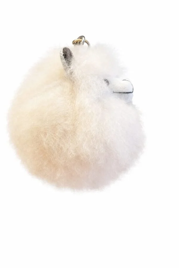 91183-600x900 vicuna.jpeg