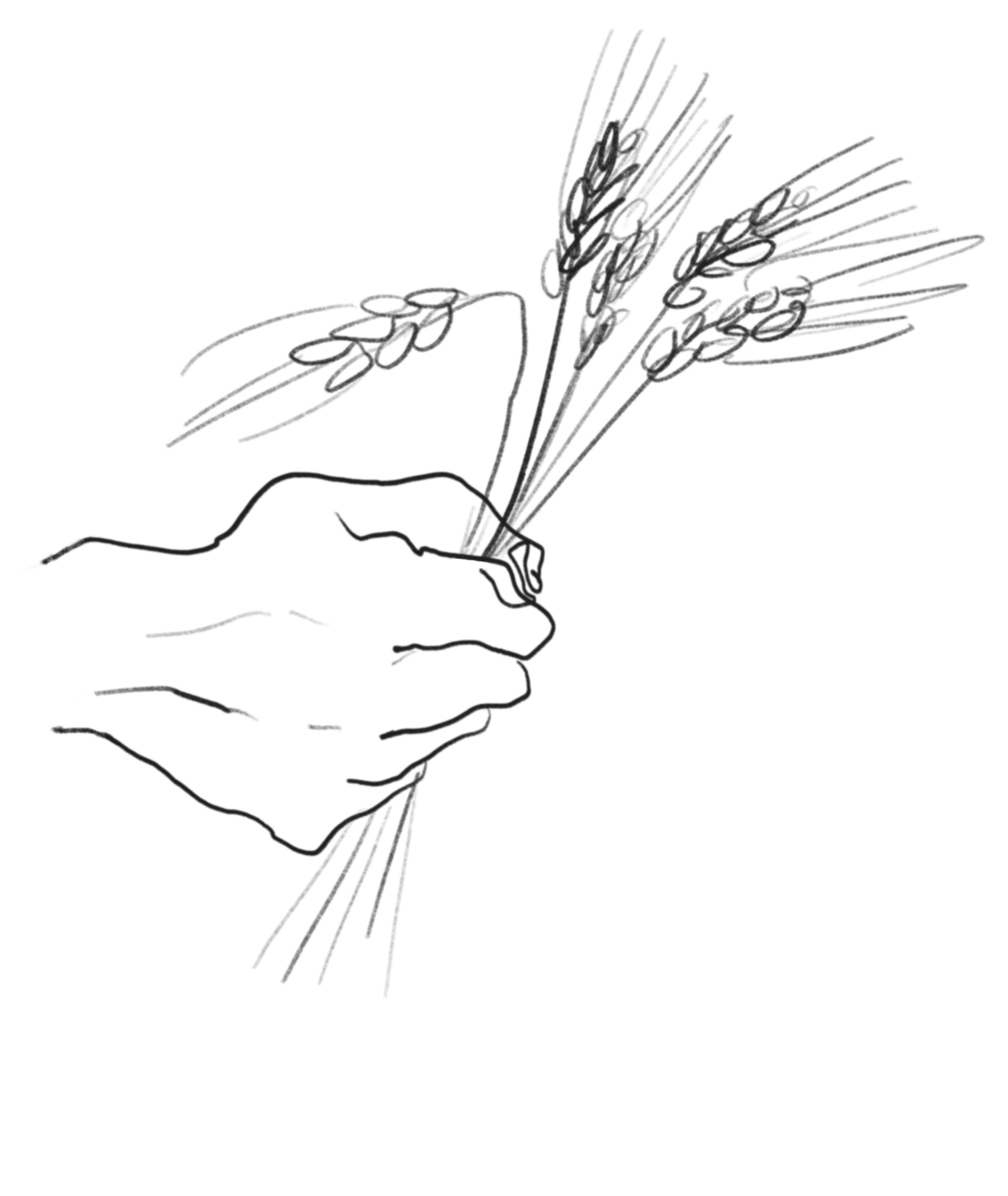 Indsamling af te og urtete: teblade, Stock-vektor (royaltyfri) 2628547703 |  Shutterstock, image size:2500x2968