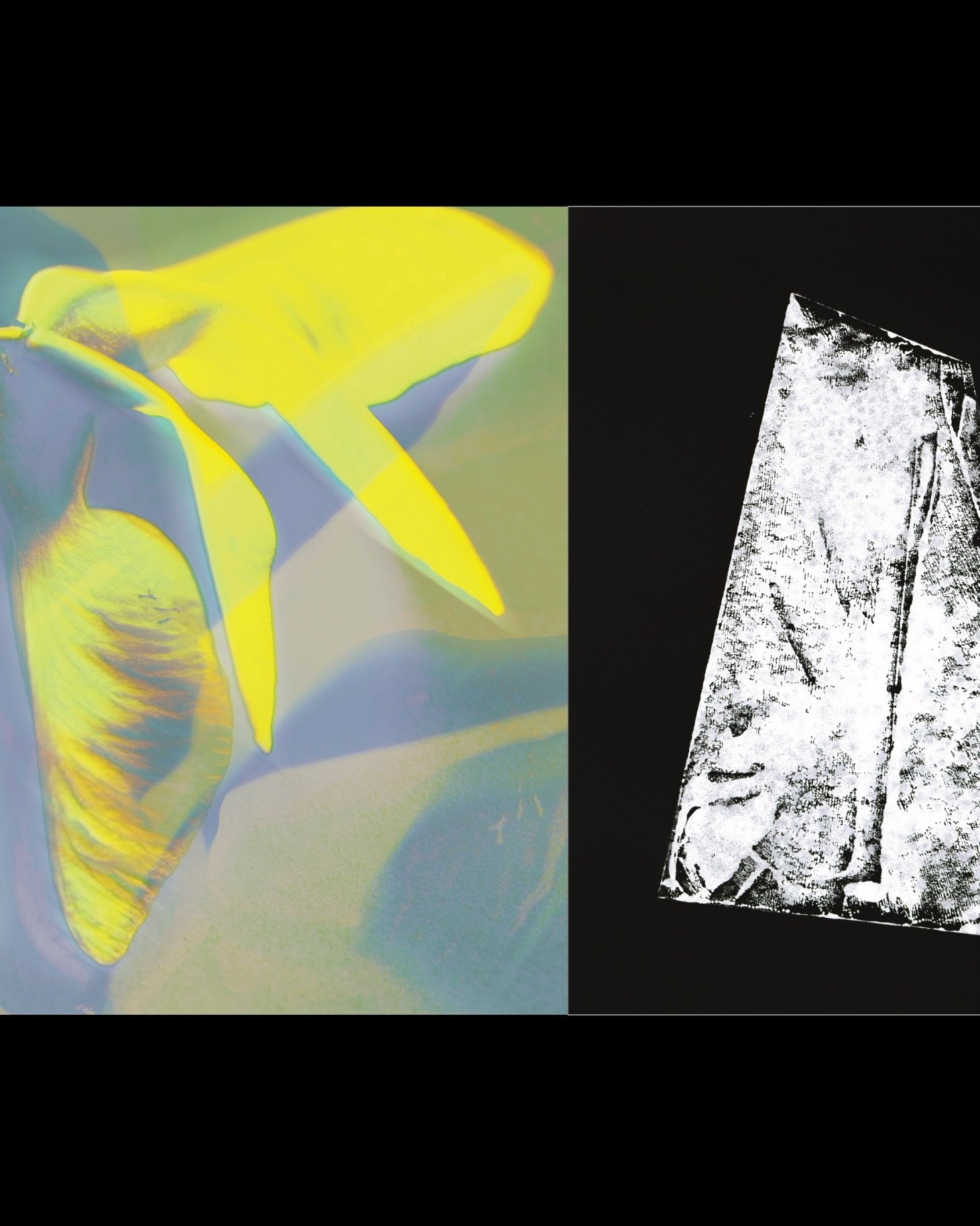 Photography and design
A continuous exploration of light as a tool of transformation rather than description.

#visualresearch #experimentalimage #abstractphotography #designpractice