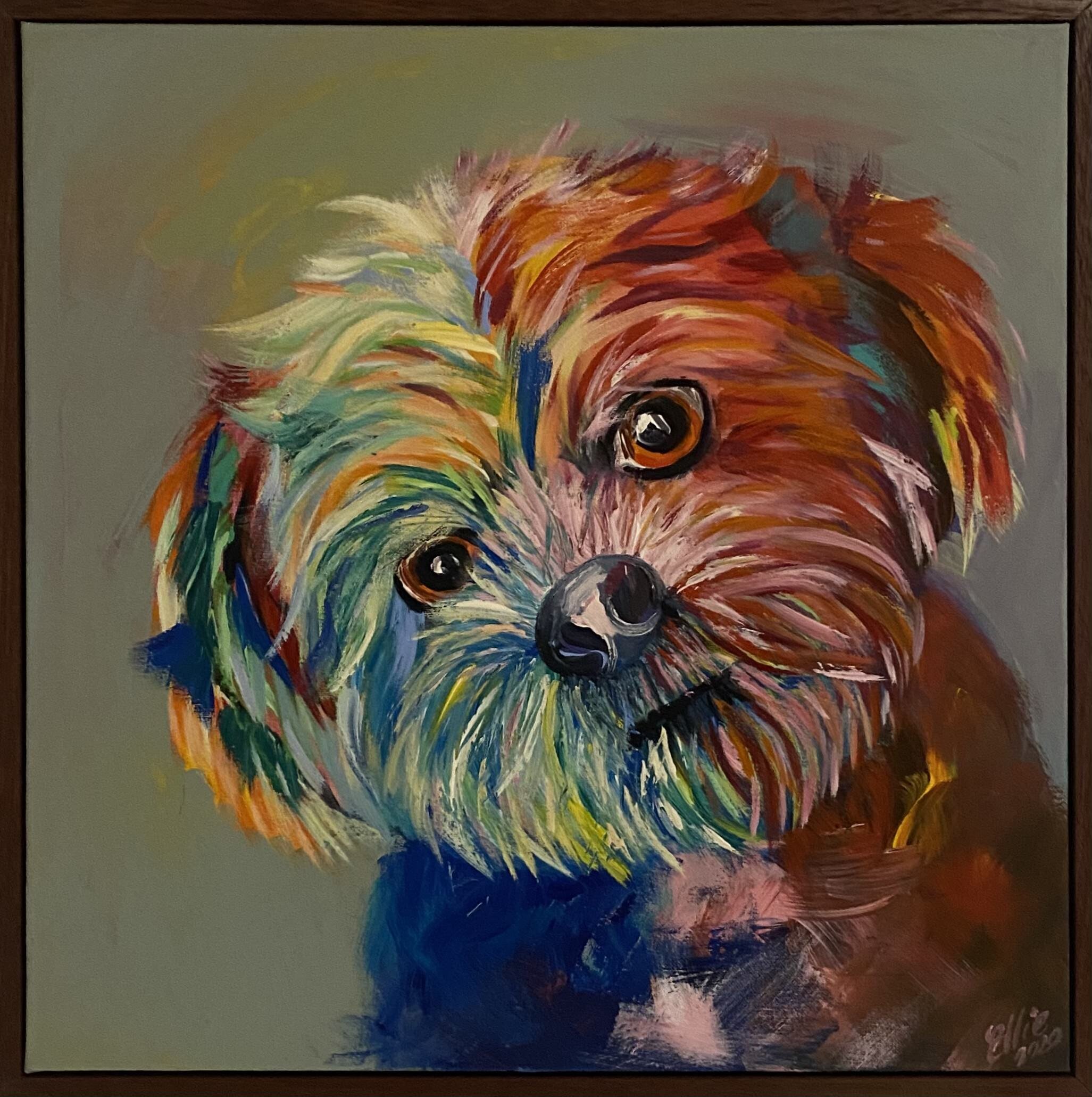 Coco — Not for sale