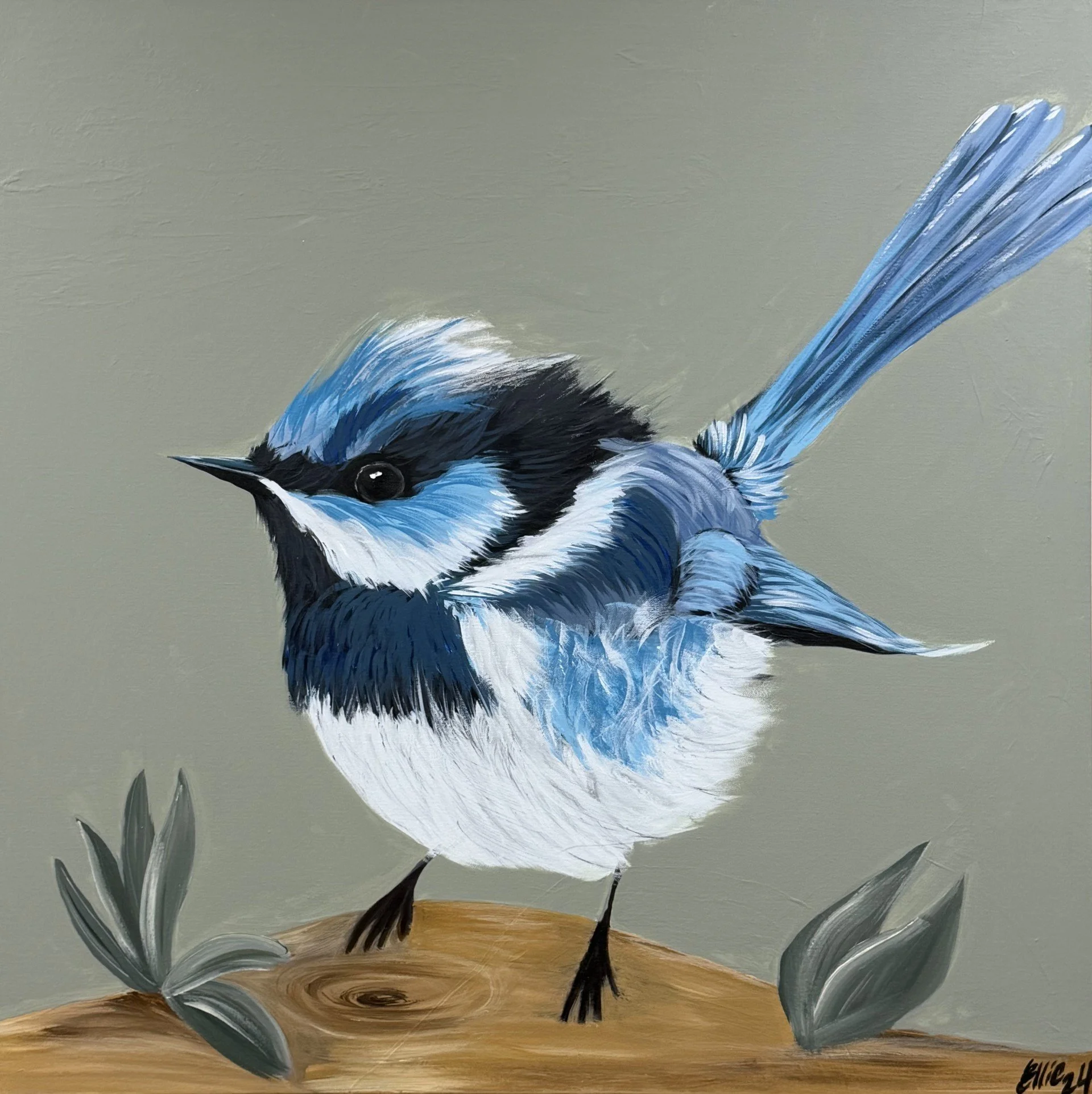 Wren — Not for sale