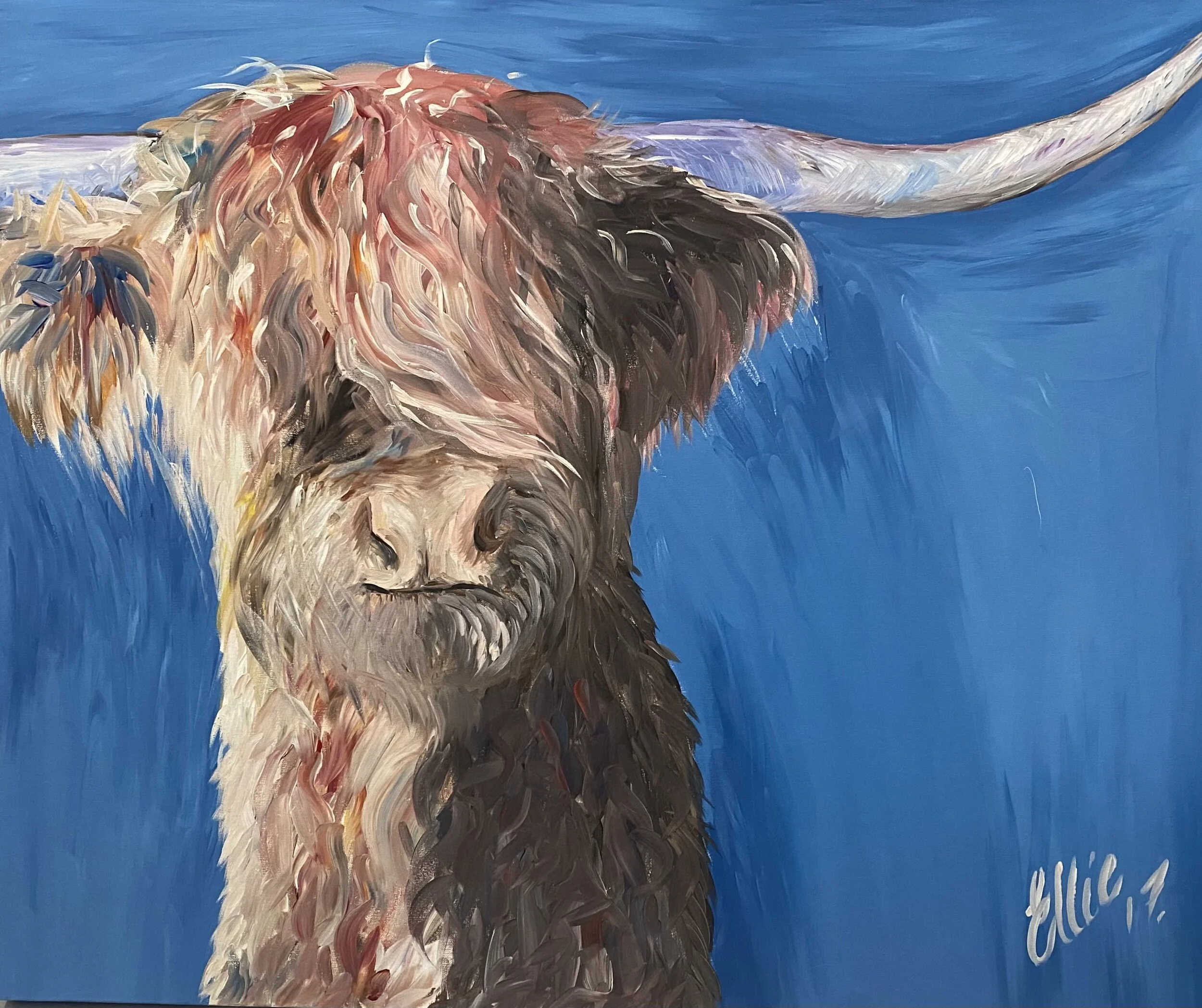 Curiosity — Sold