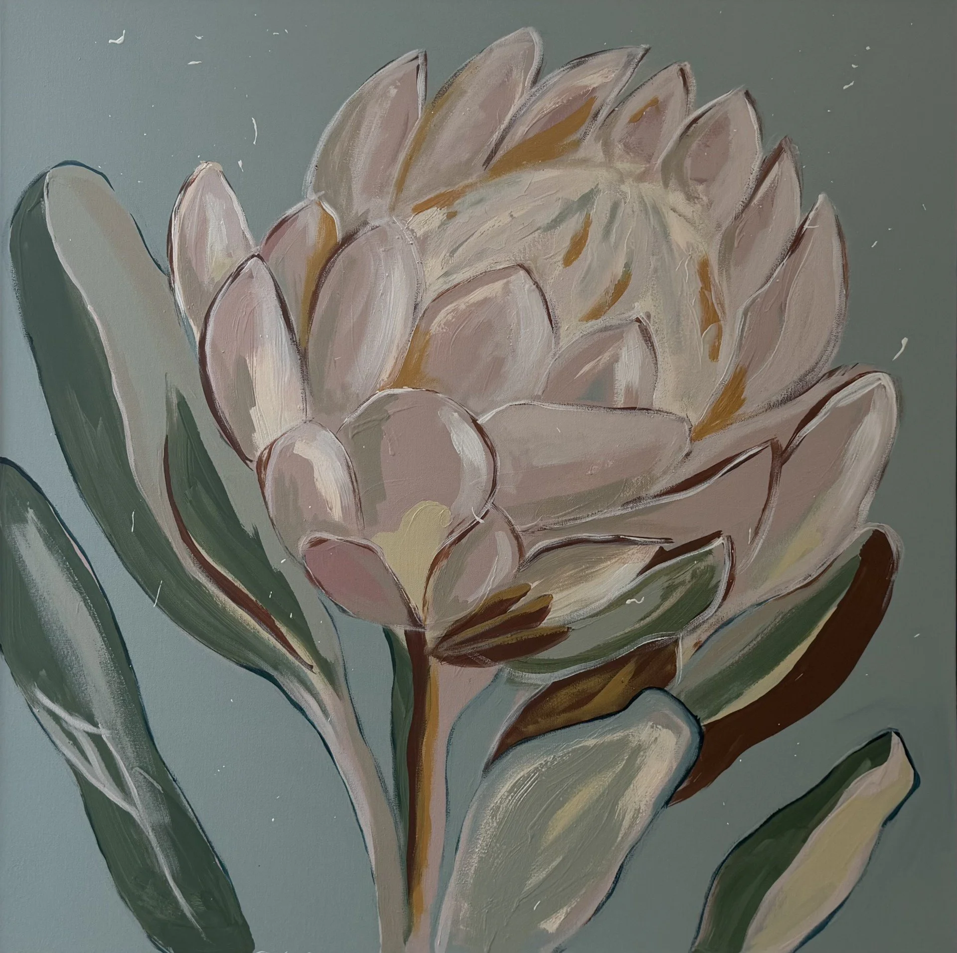 Protea (2026)